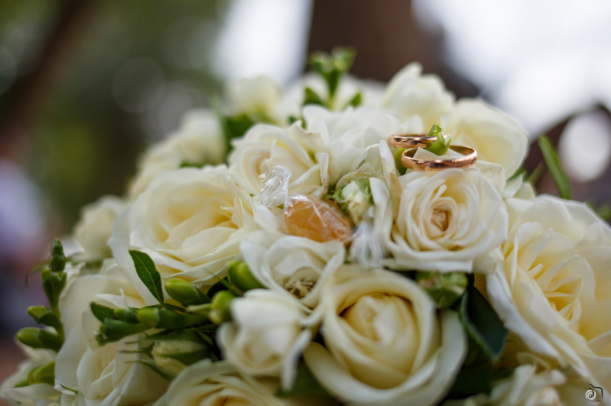 Никита и Анна. Фотограф Сергей Горбачёв