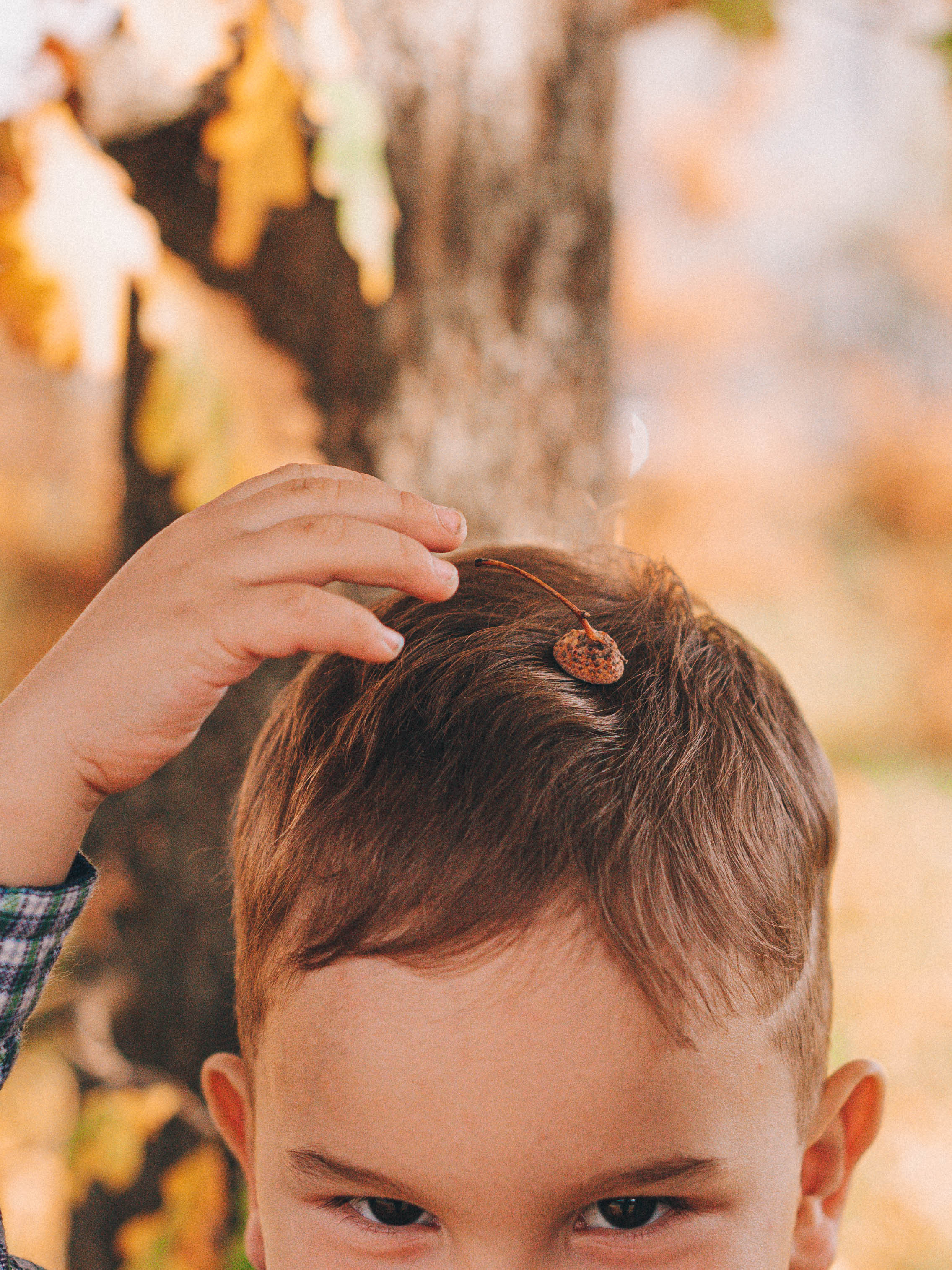 Осень-осень. Семейный фотограф в Санкт-Петербурге Ира Ревчук