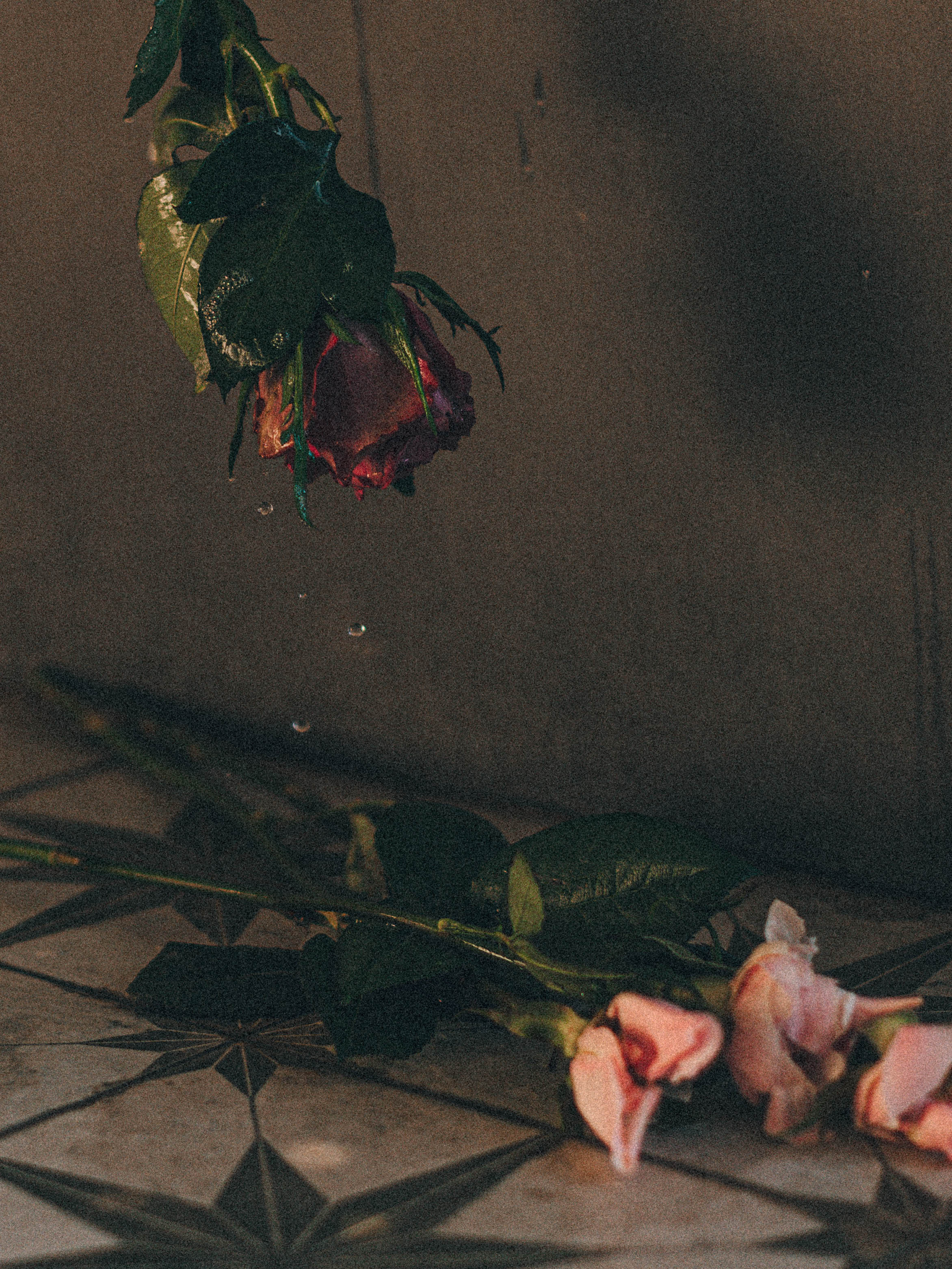 Ксения. Семейный фотограф в Санкт-Петербурге Ира Ревчук