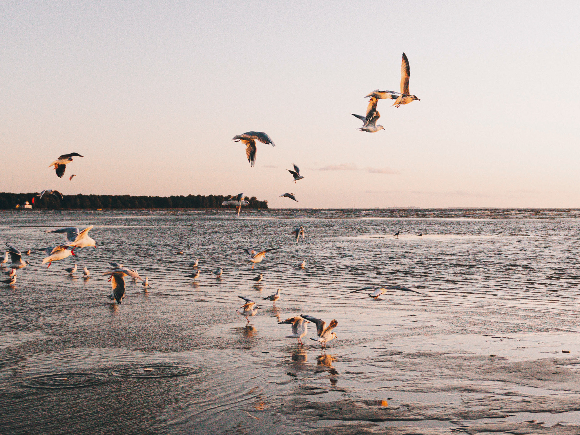 Семейный фотограф в Санкт-Петербурге Ира Ревчук