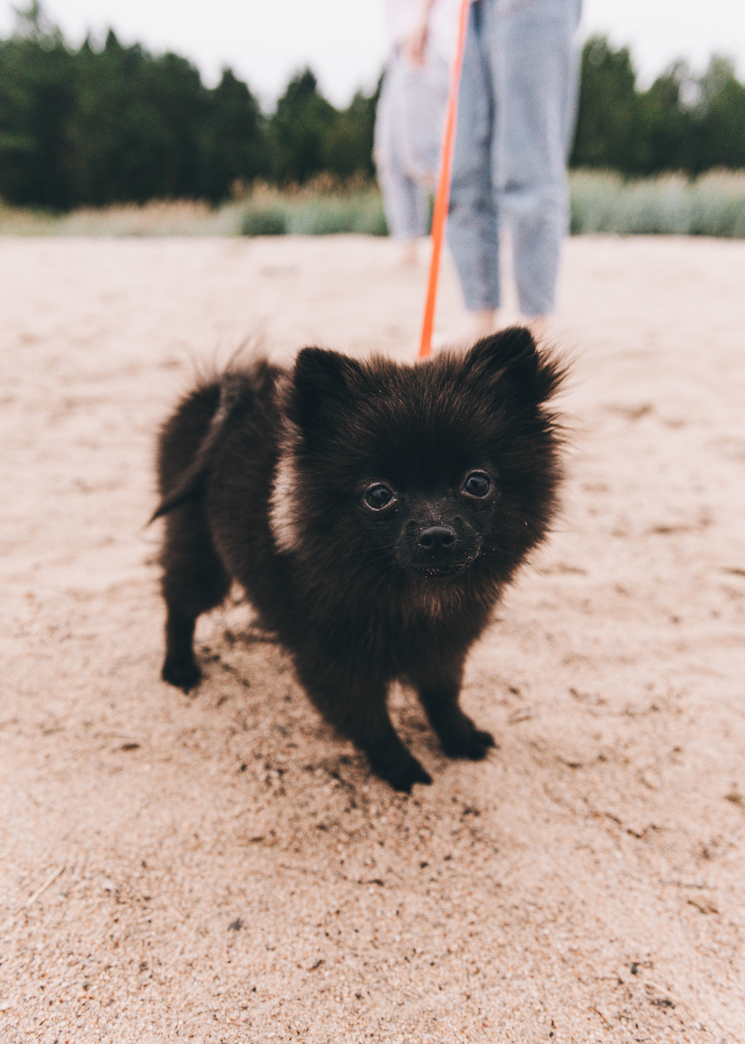 Ди и Эм. Семейный фотограф в Санкт-Петербурге Ира Ревчук