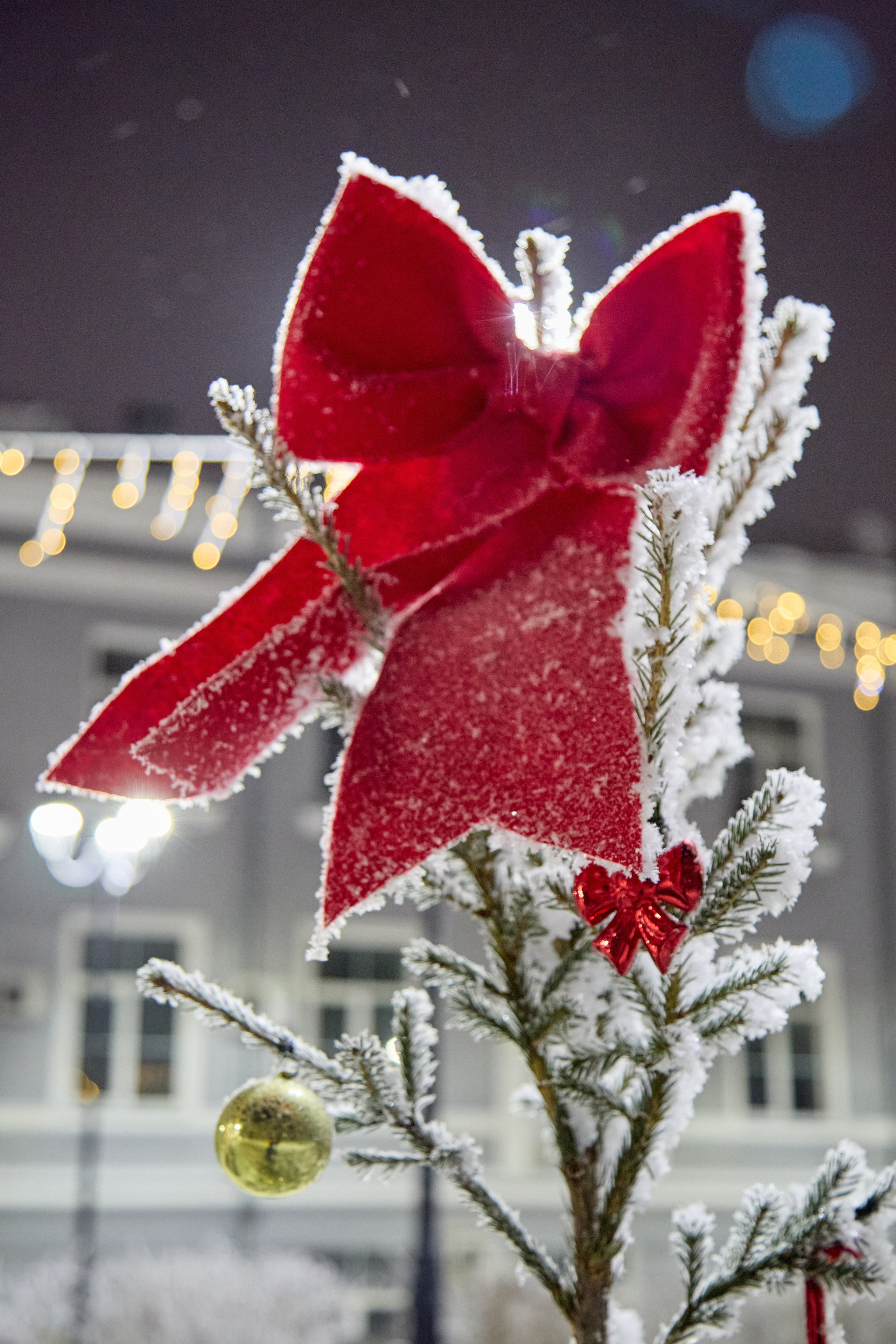 Новогодний Омск 2025. Фотограф Омск | Александр Вандеров