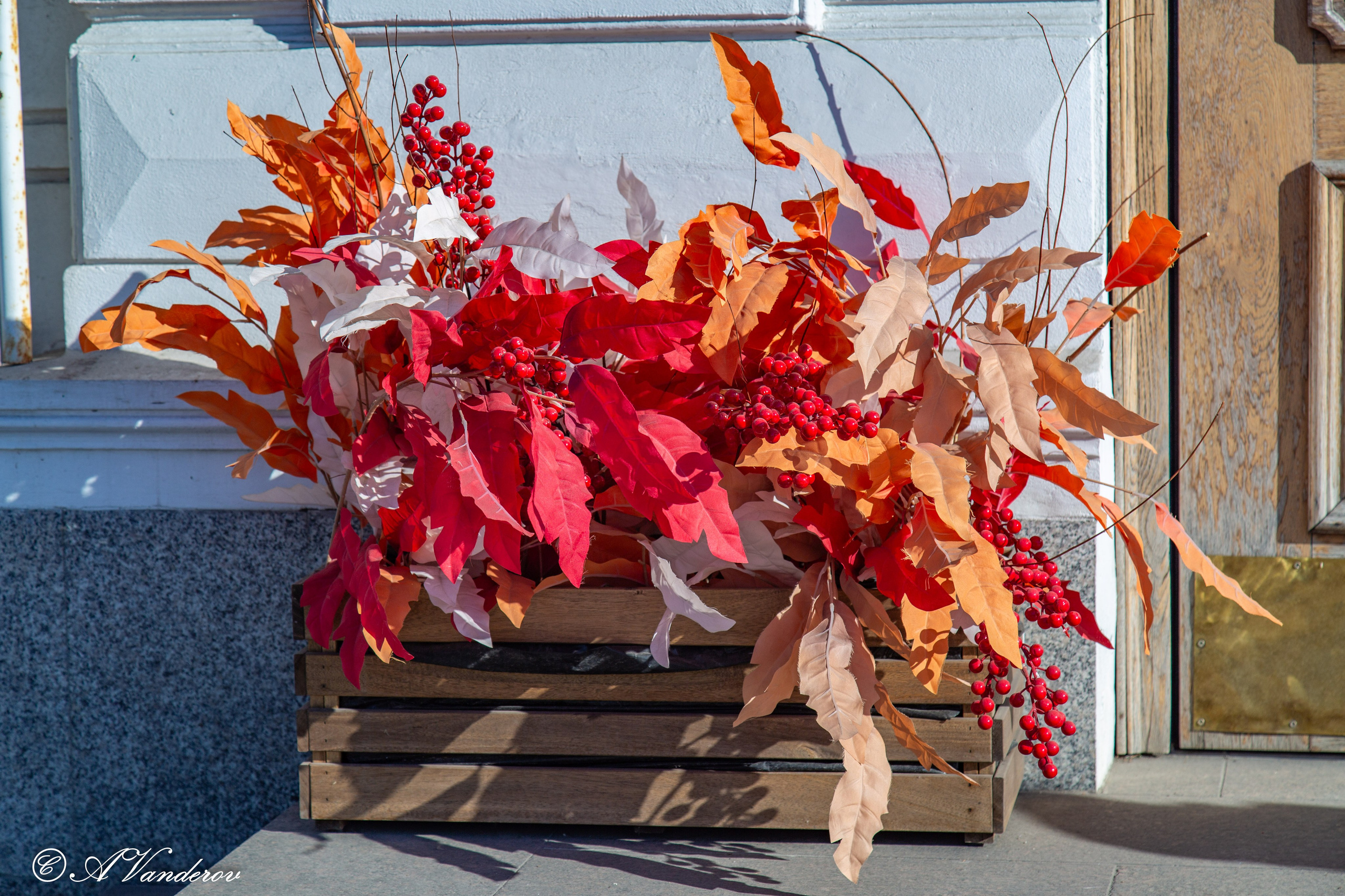 Омск 2024. Фотограф Омск | Александр Вандеров