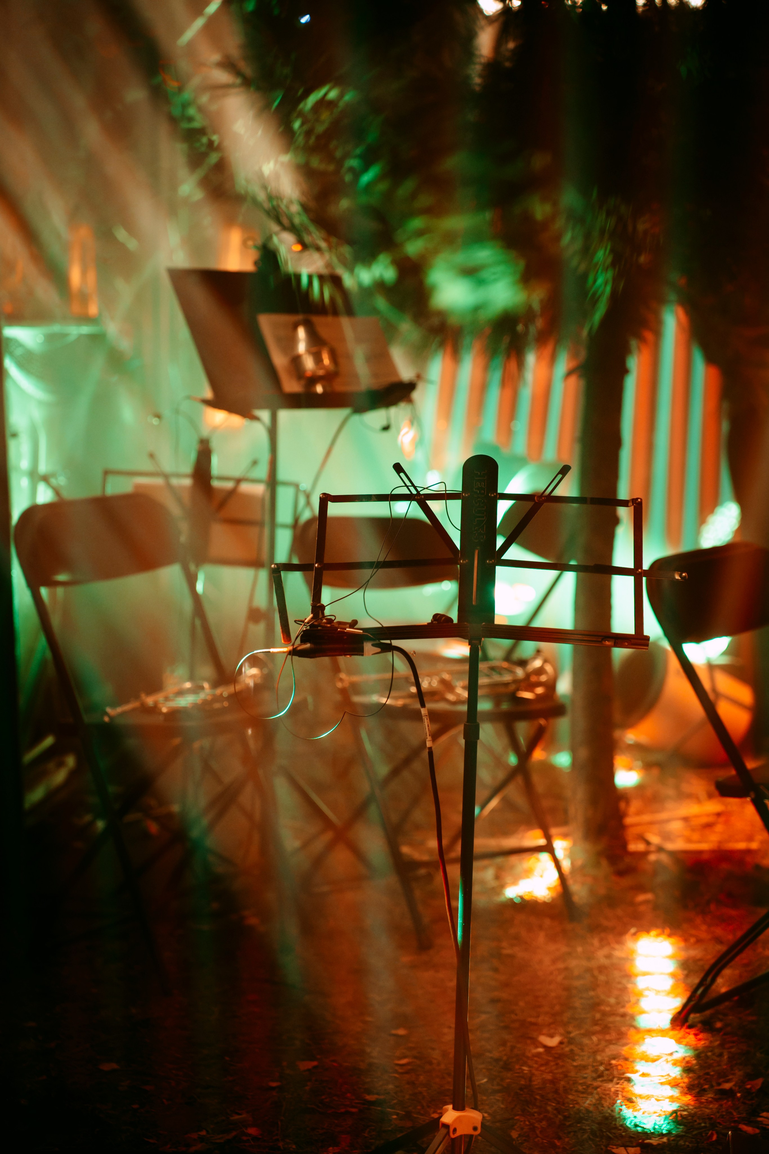 Synesthesia|Черное озеро. Главная