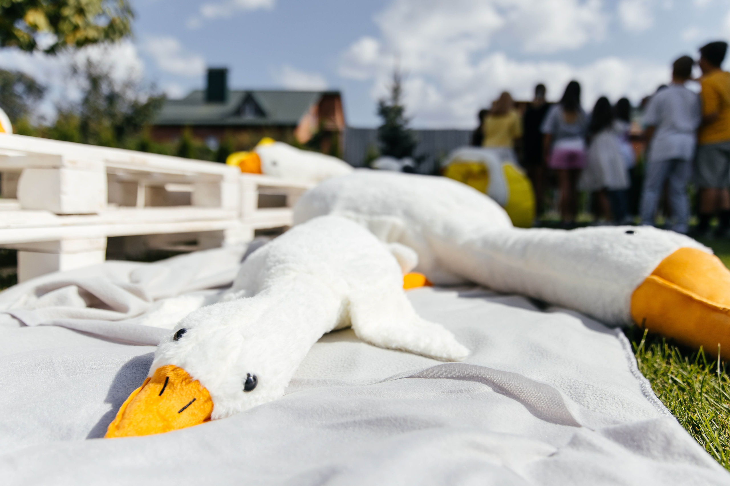 ДР Лены. Профессиональный фотограф Тольятти | Самара | Москва | Сочи