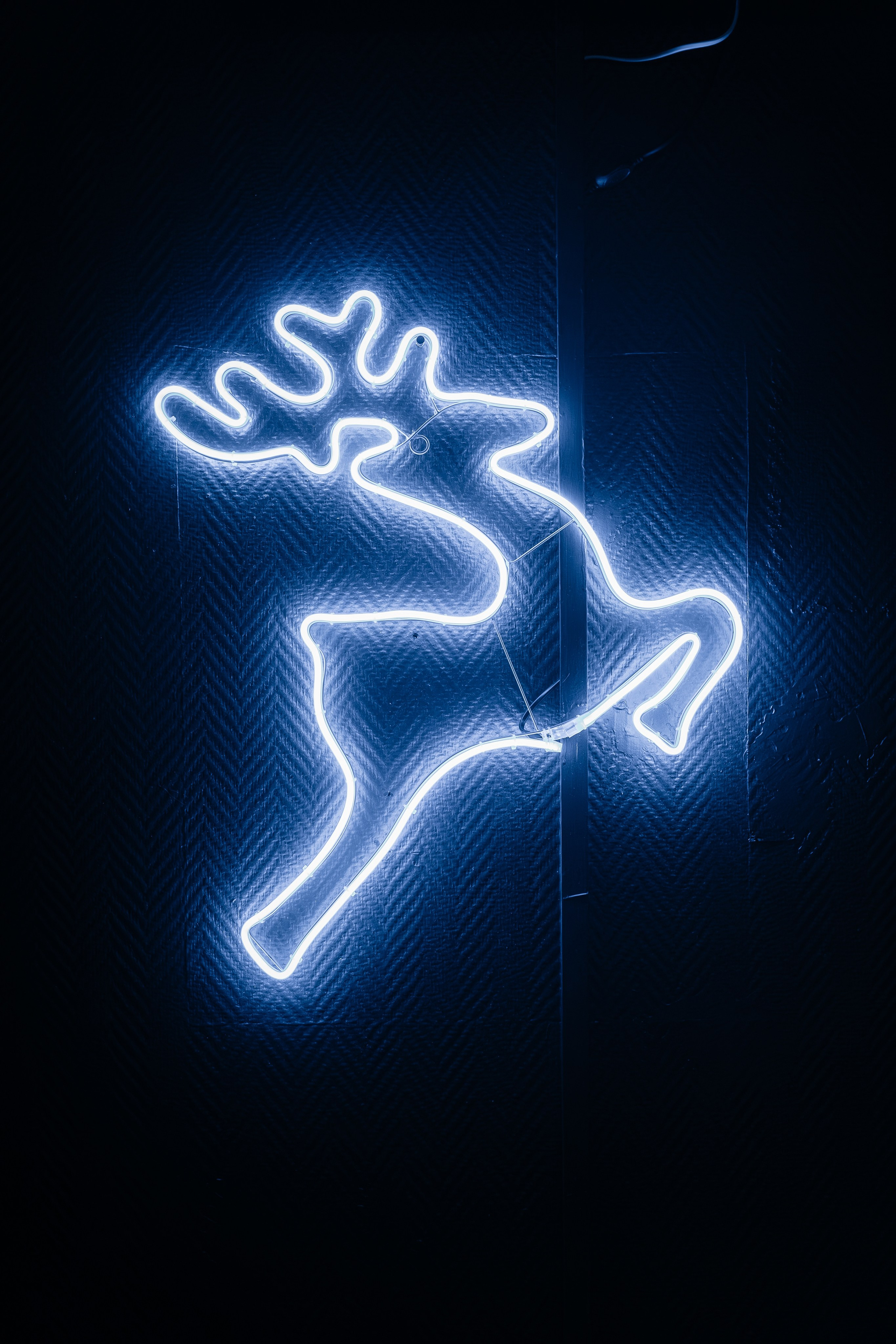 Корпоратив «СОВКОМБАНК». Свадебный фотограф Барнаул Алексей Павлов