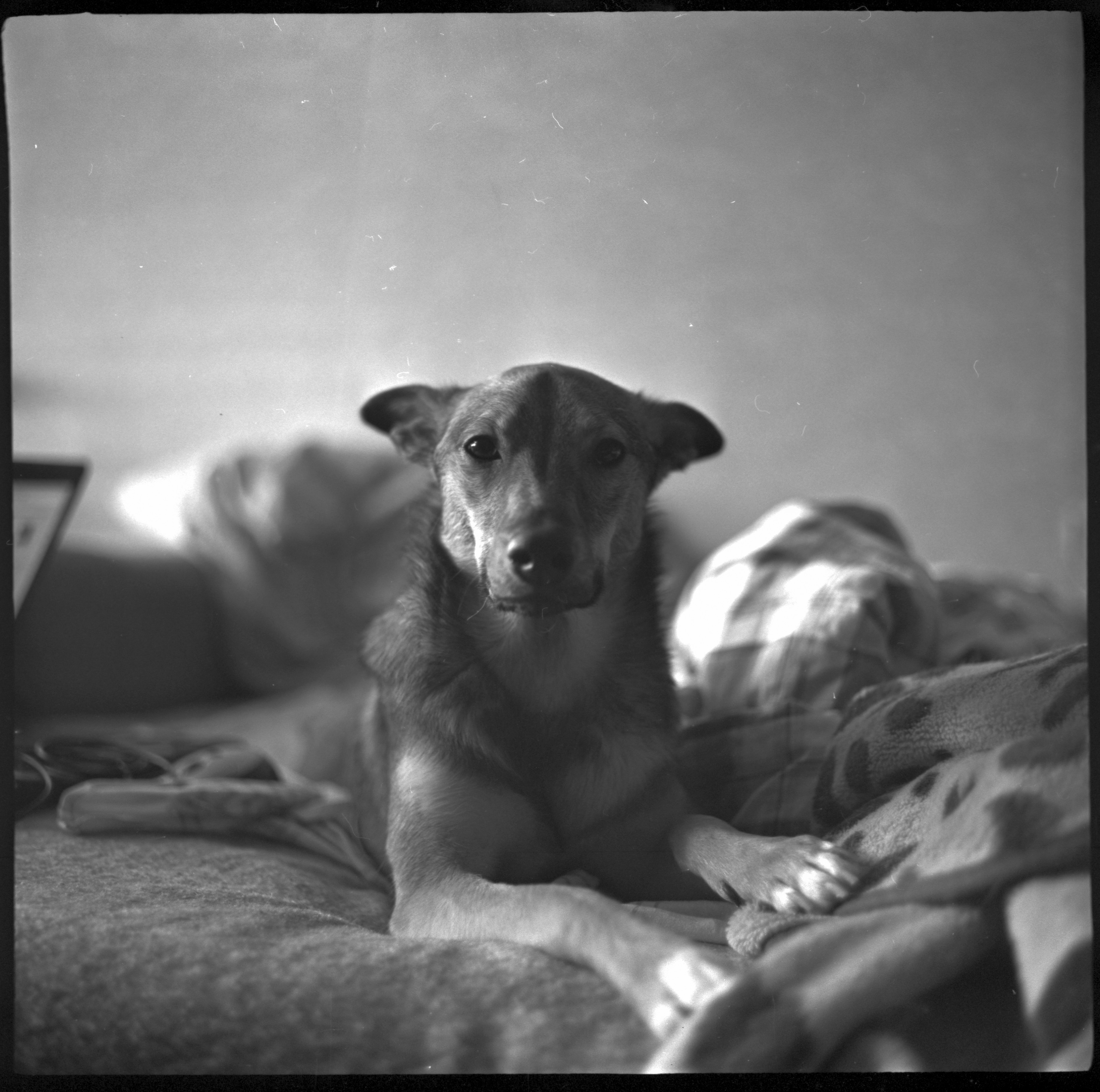 Фотограф Сердюковский Михаил