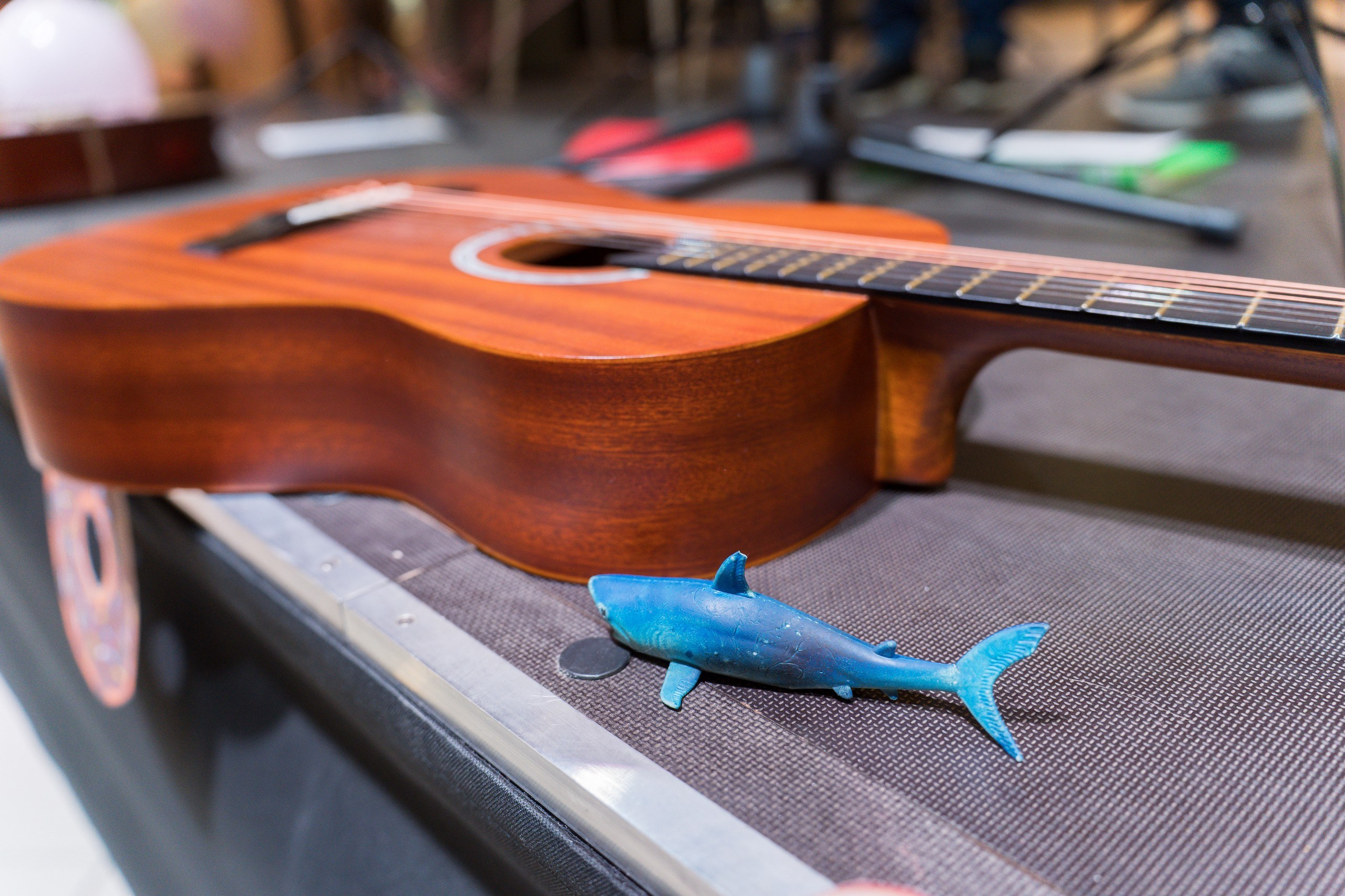 Сладости и радости. Репортажная съёмка в Санкт-Петербурге, Константин Петров