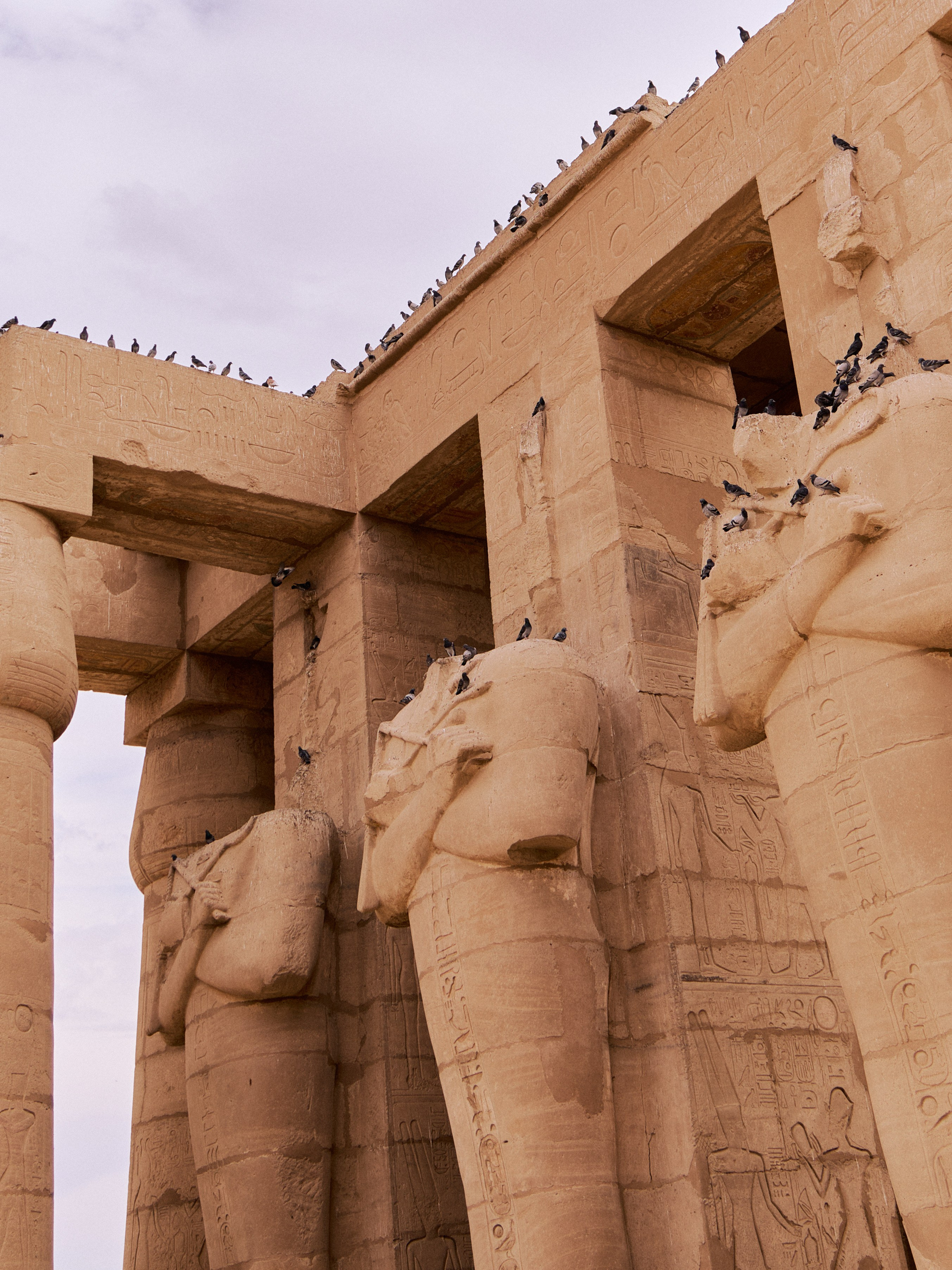 Другое 4. Jorgis — фотограф в Хургаде / обучение фотографии