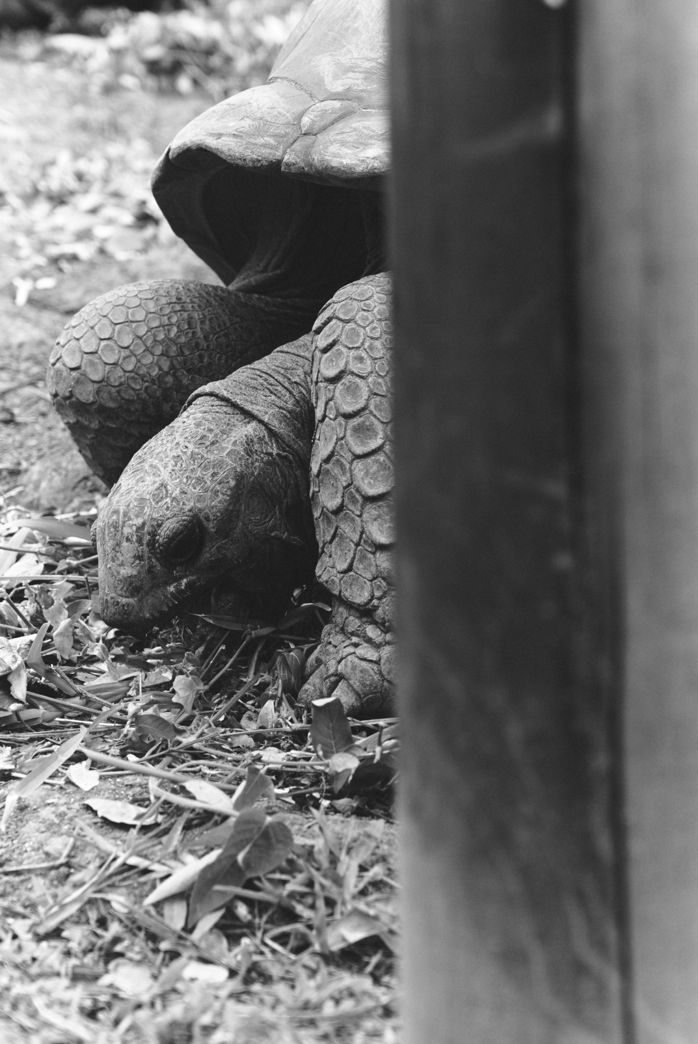 U Magazine x Выездная редакция. Фотограф Сурков Никита