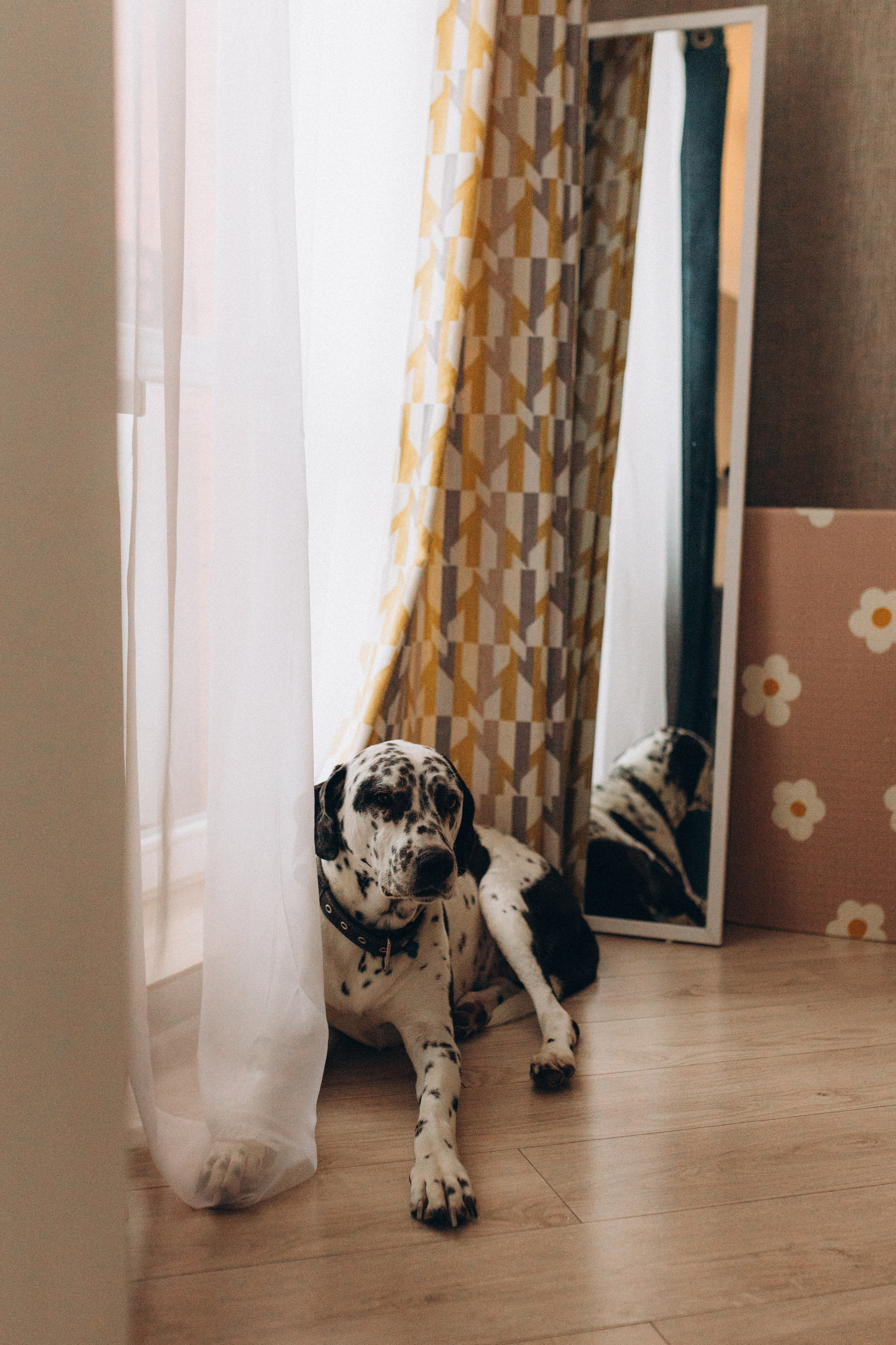 9. Семейный фотограф в Москве Жукова Анна