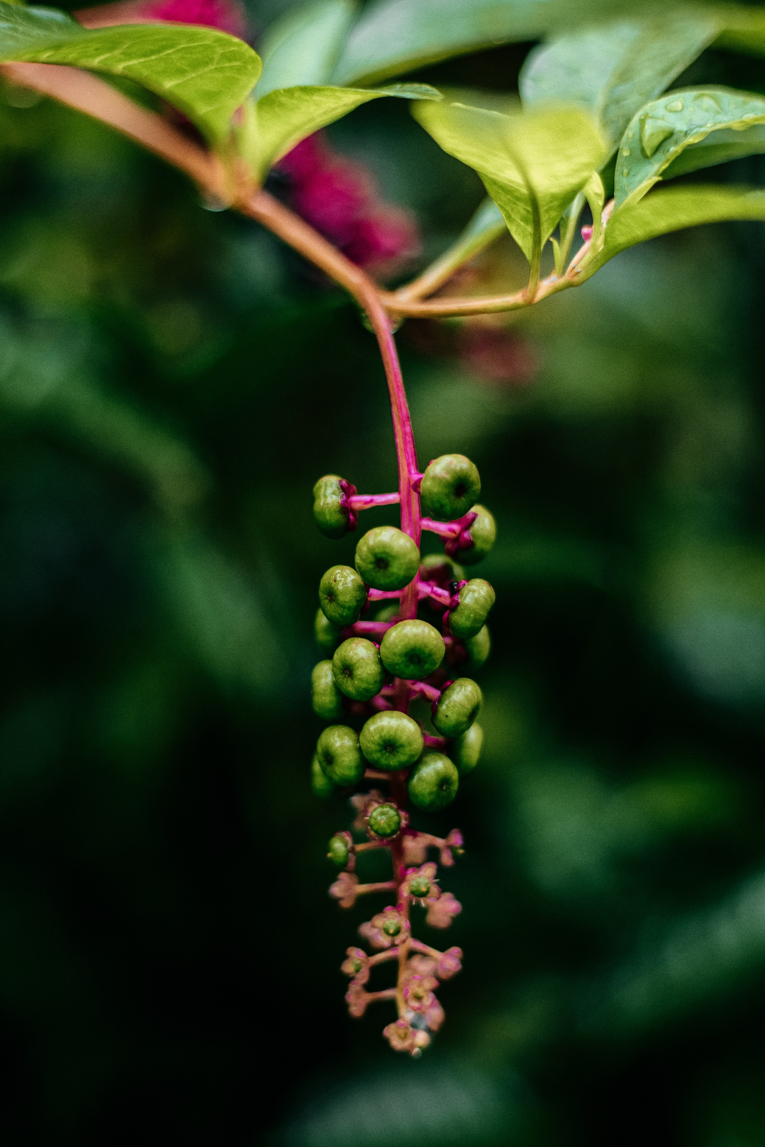 Nature. Оля Валиахметова — портретный и репортажный фотограф из Екатеринбурга