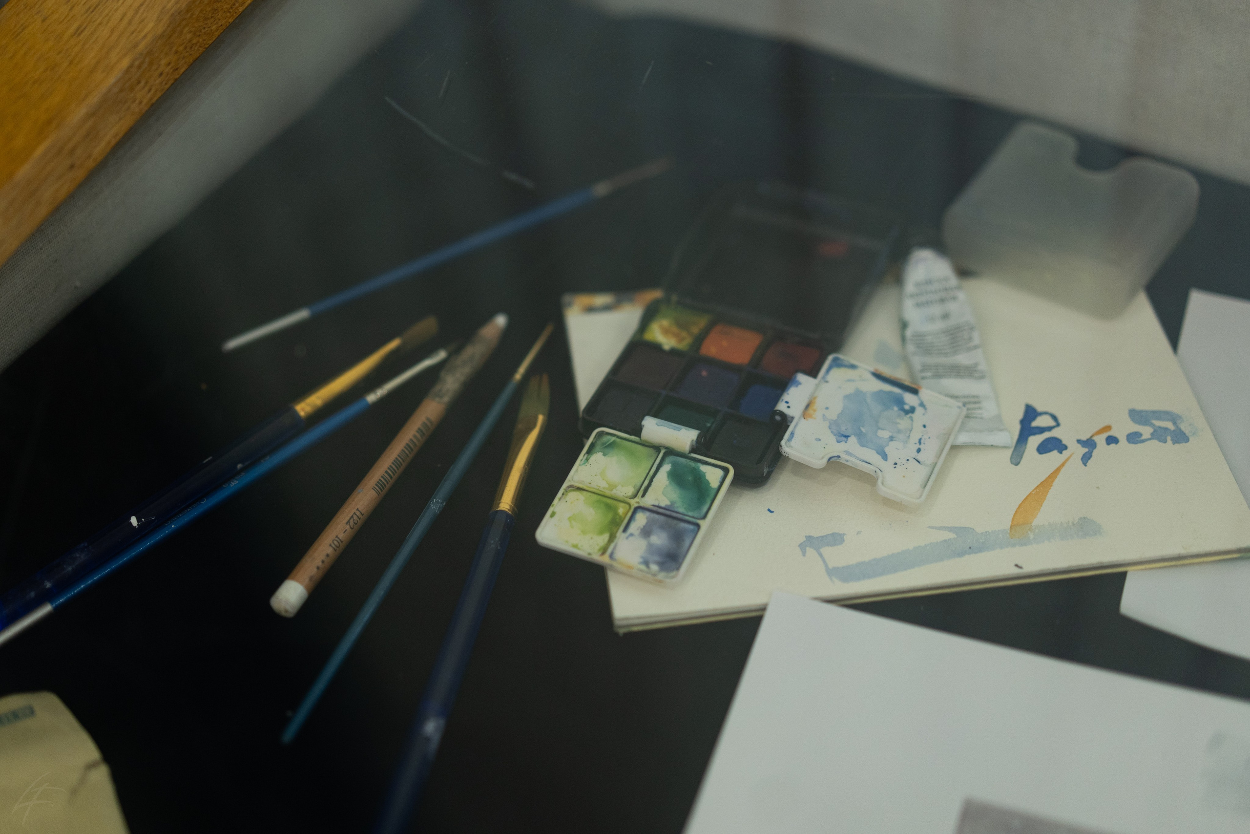 Открытие выставки Ильи Даньшина «Радость». Лиза Фирстова — самый добрый фотограф