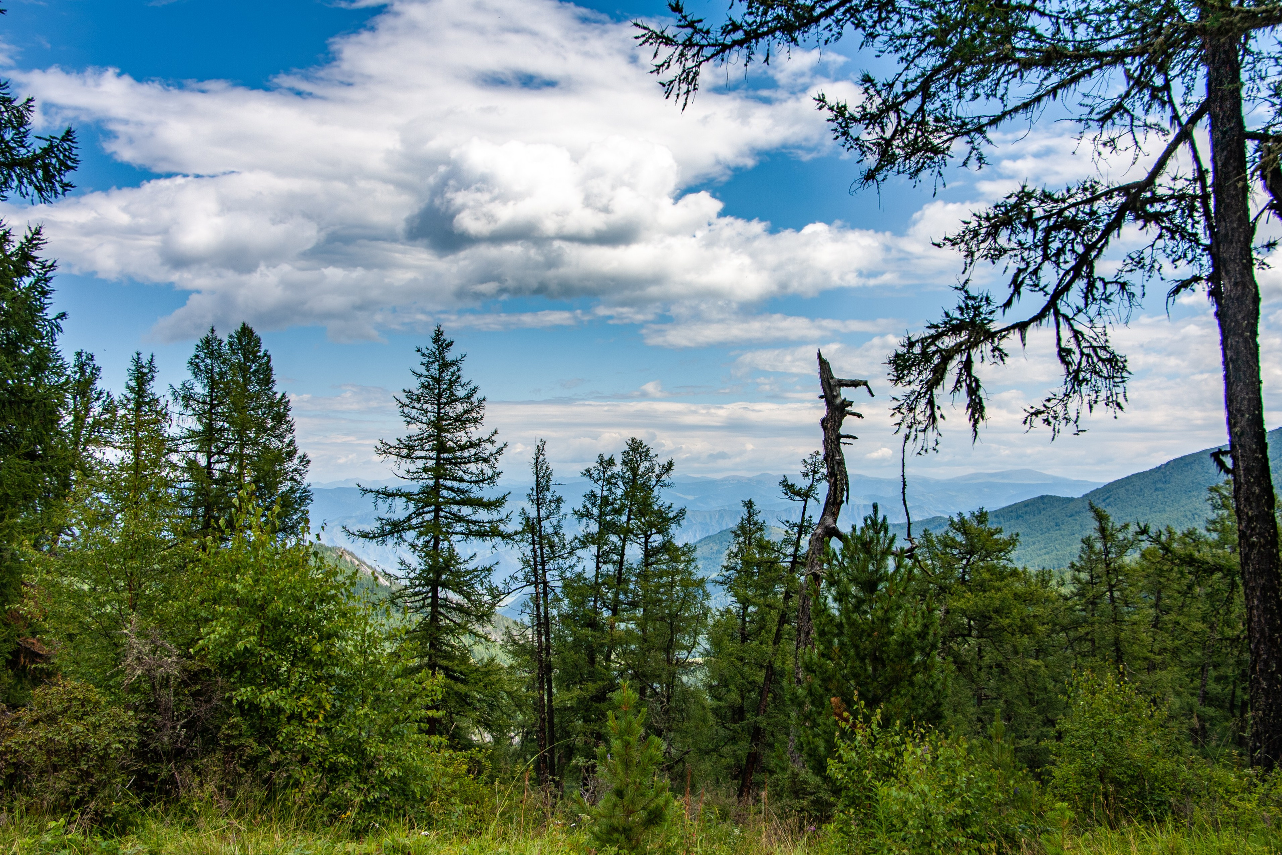 Укок 2022. Gennady Travel