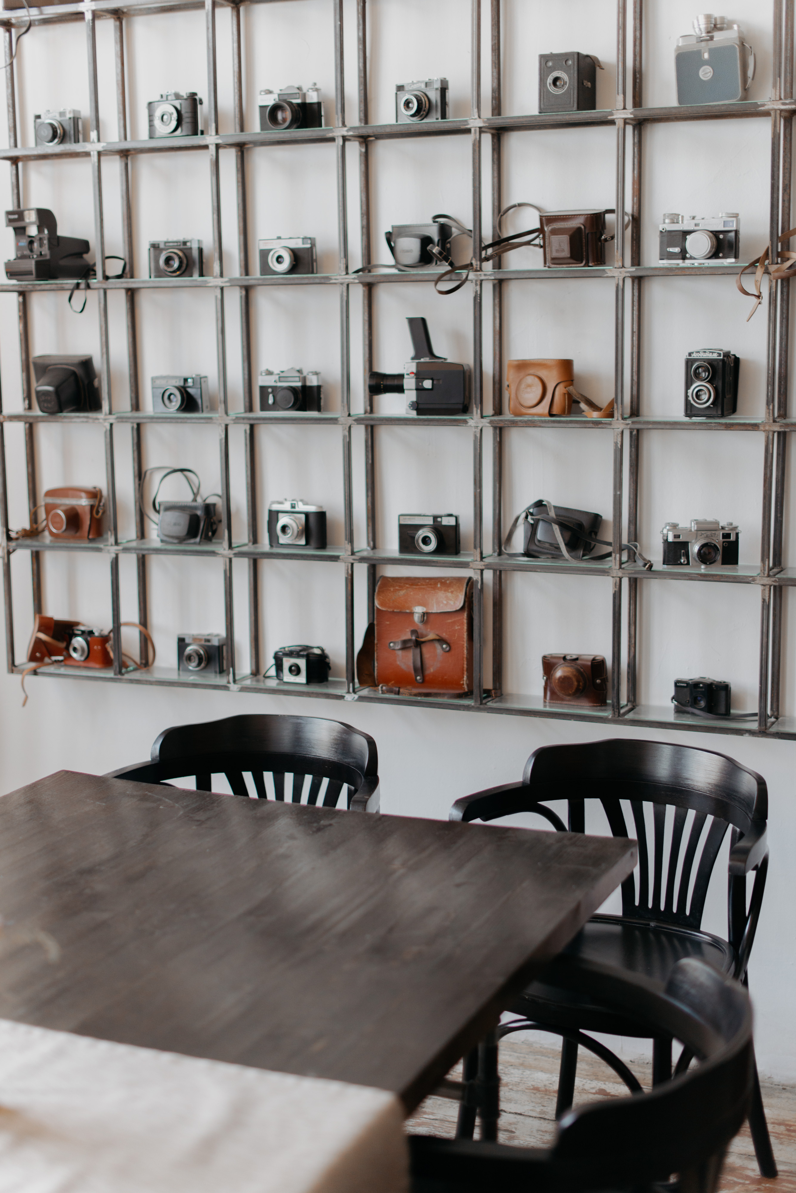 Свадьба Ксении и Дениса в ботаническом саду