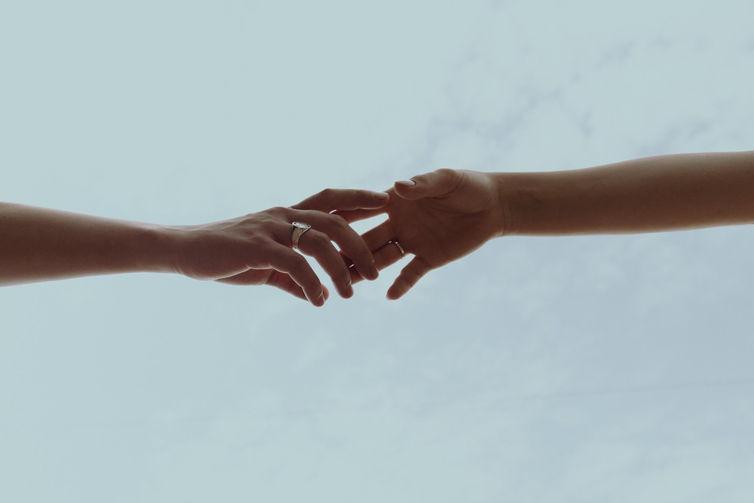 Свадьба Ксении и Дениса в ботаническом саду