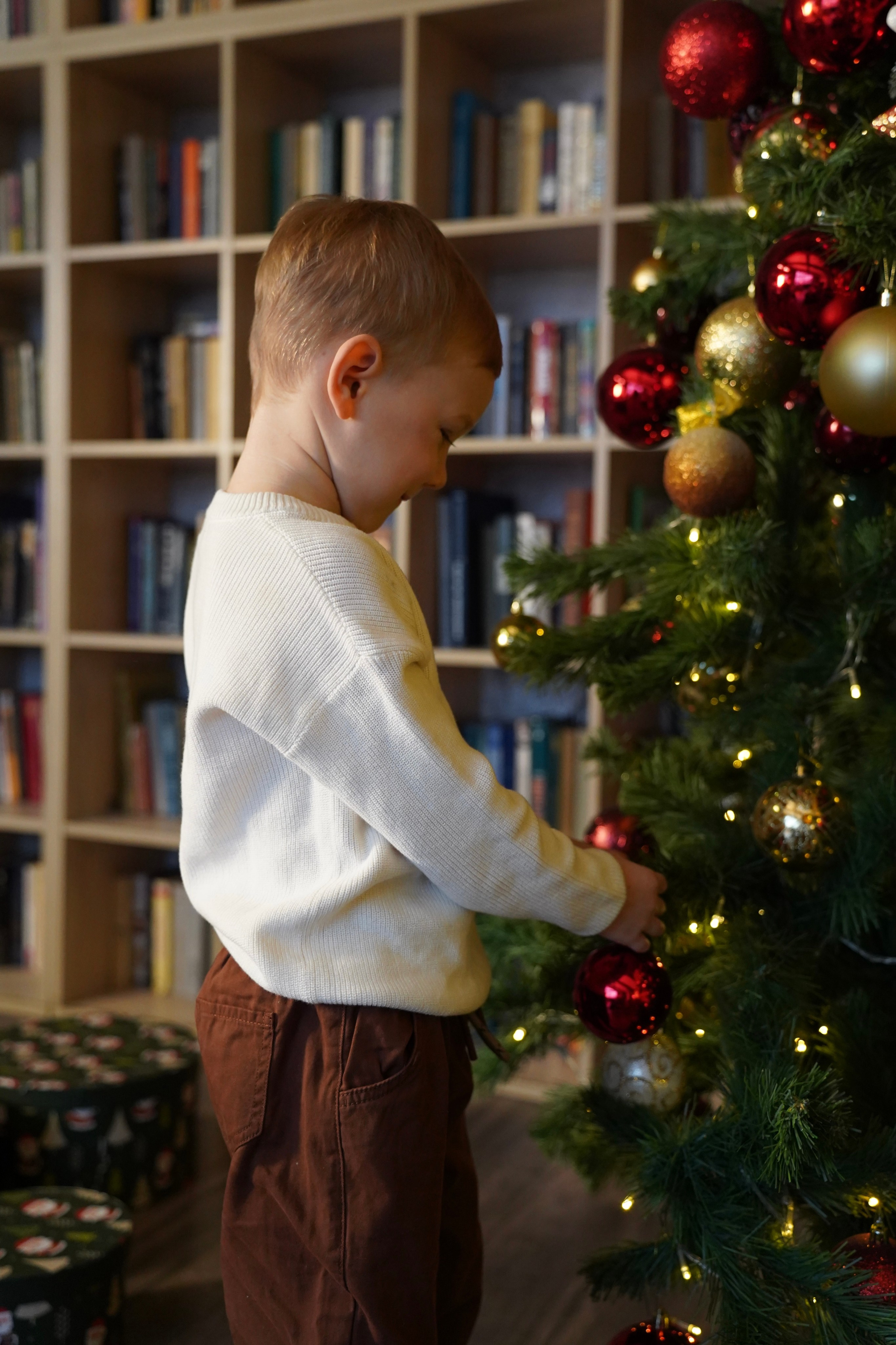 Семейные. Портретный фотограф в городе Москва