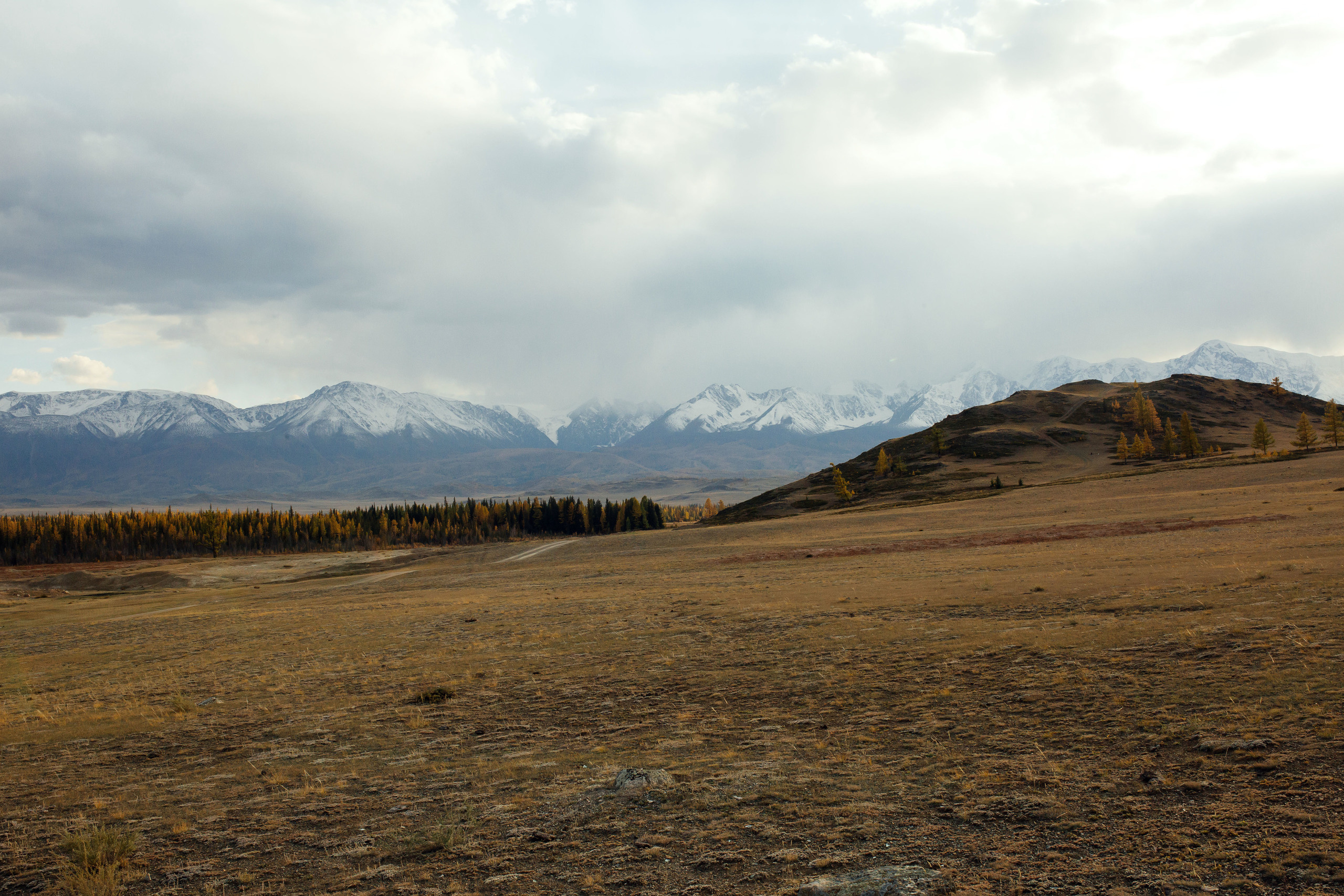 Свадебная история в горах. Яна и Дима. Свадебный и семейный фотограф Рассказова Виктория