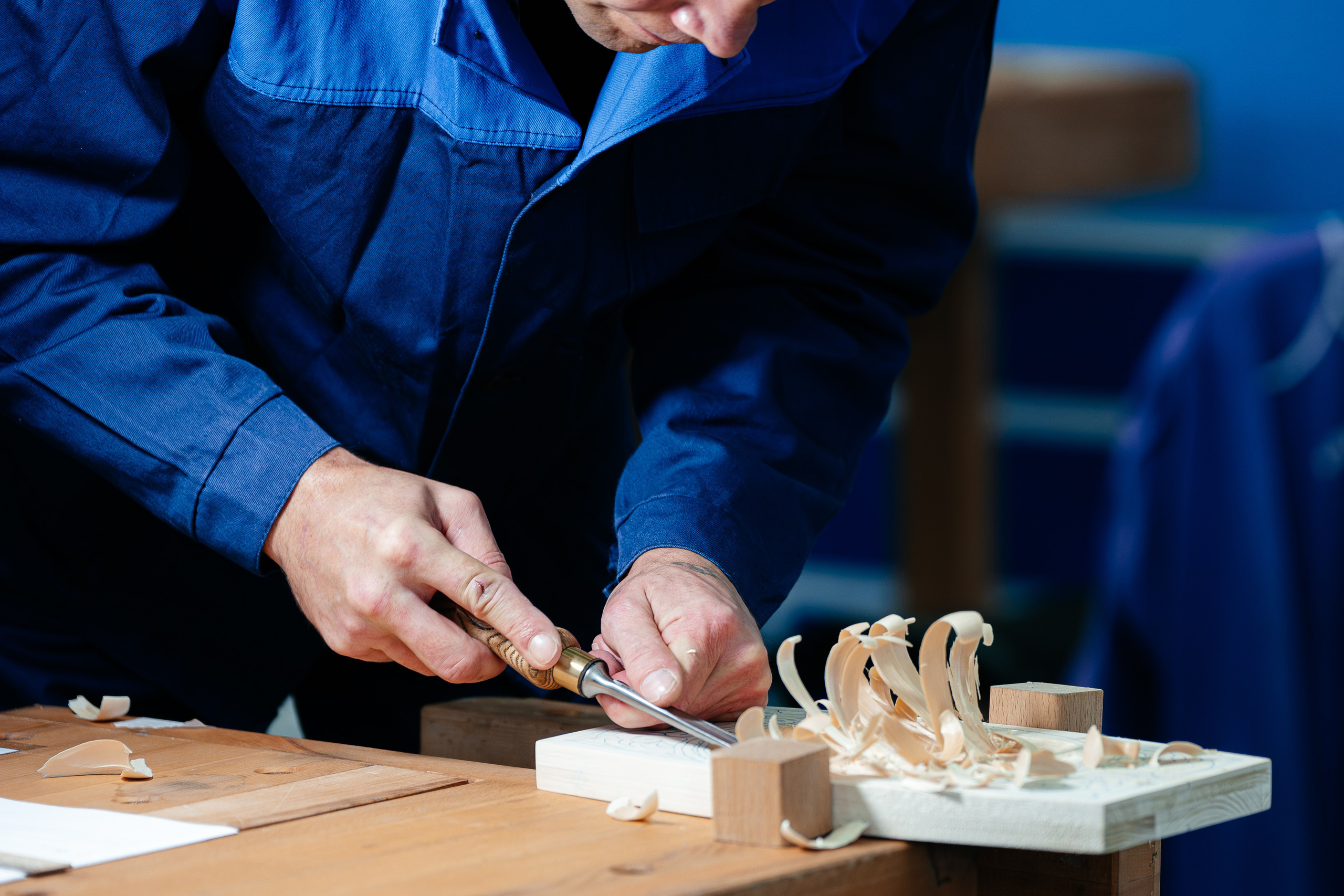 Абилимпикс 2025. Коммерческий фотограф в Санкт-Петербурге Анна Кобзарь