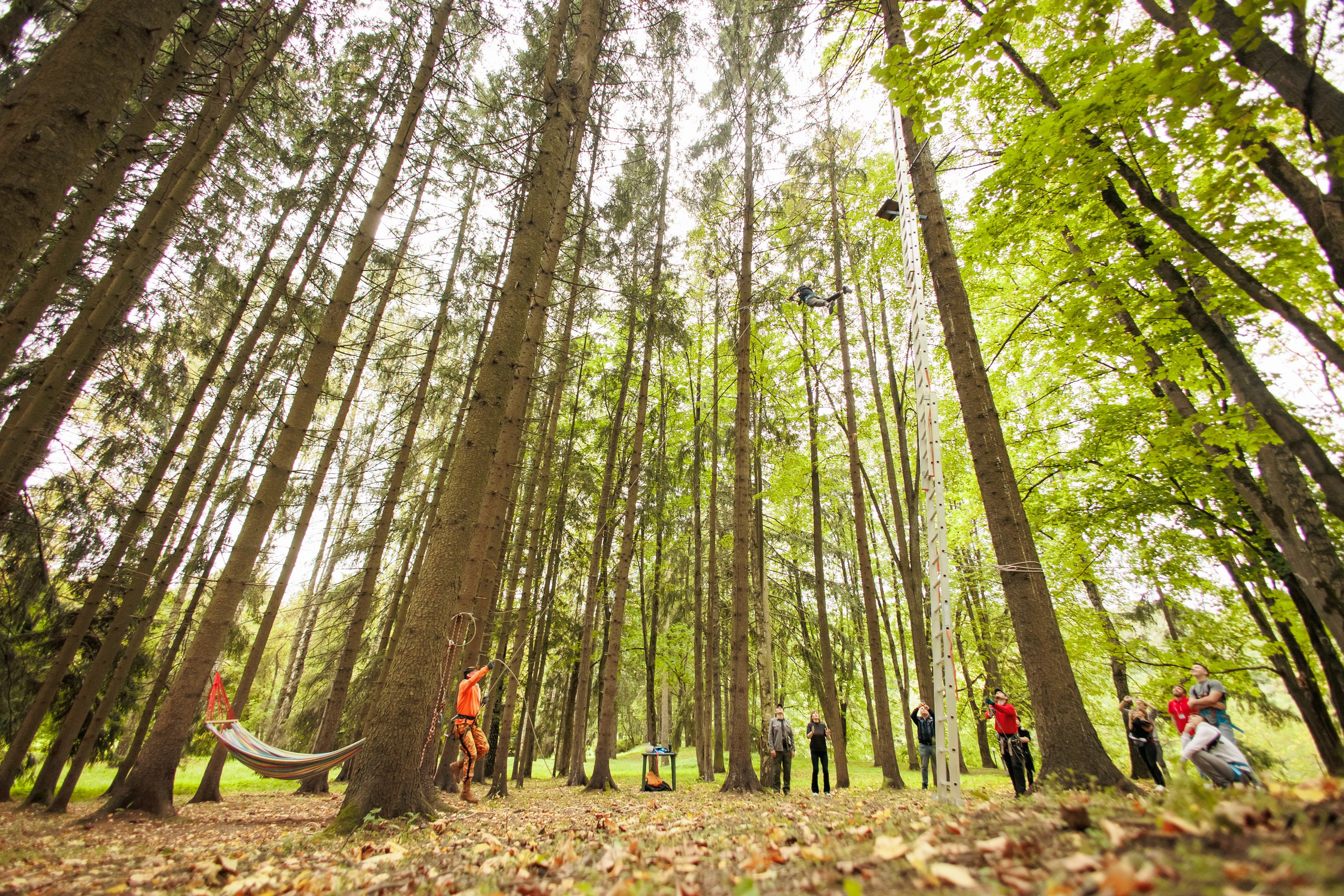 Тимбилдинг выезд. Репортажный фотограф. Москва. Алина Ланская