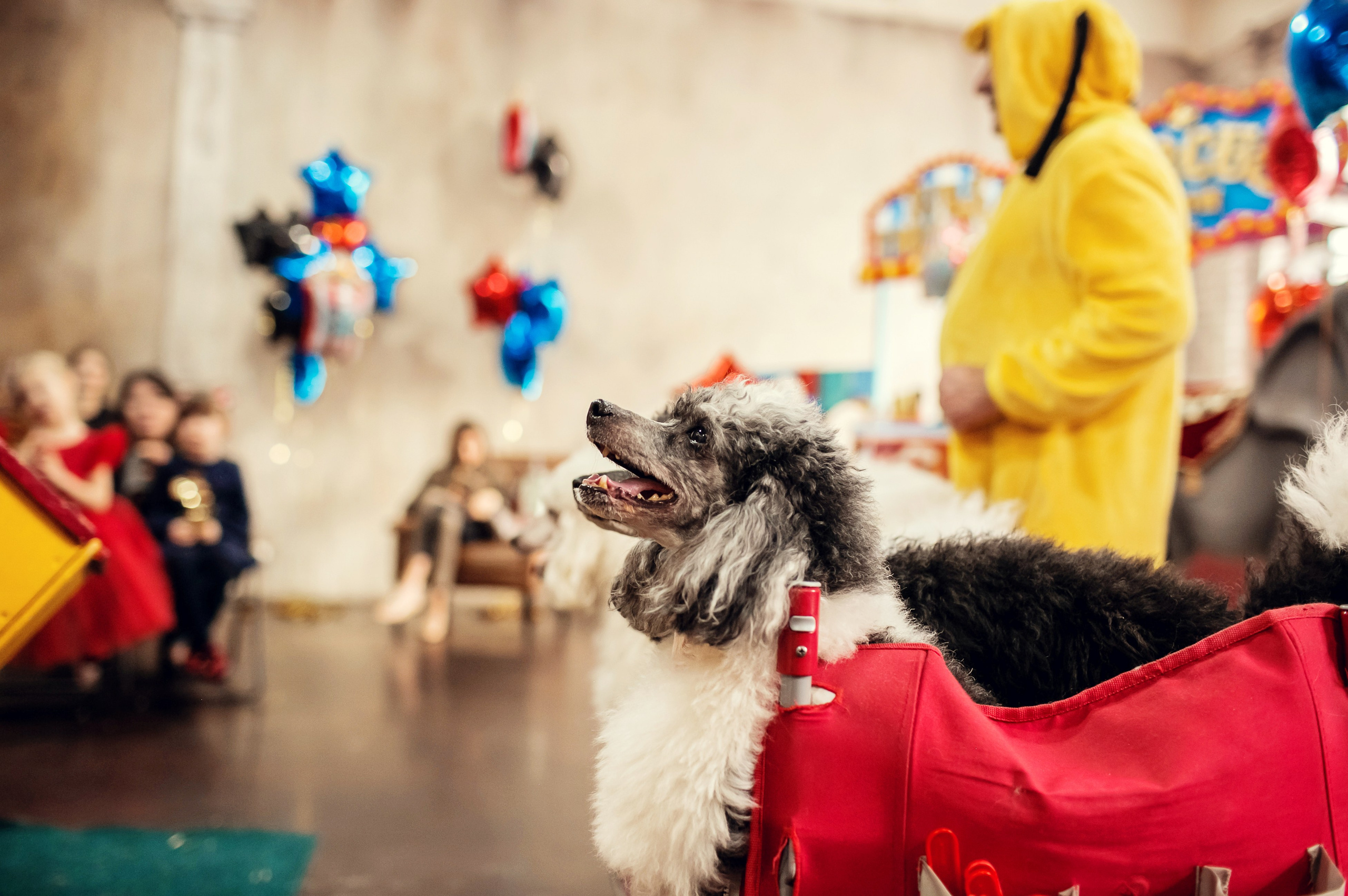 Насте 5 лет. Детский и семейный фотограф в Москве Анна Ипатьева