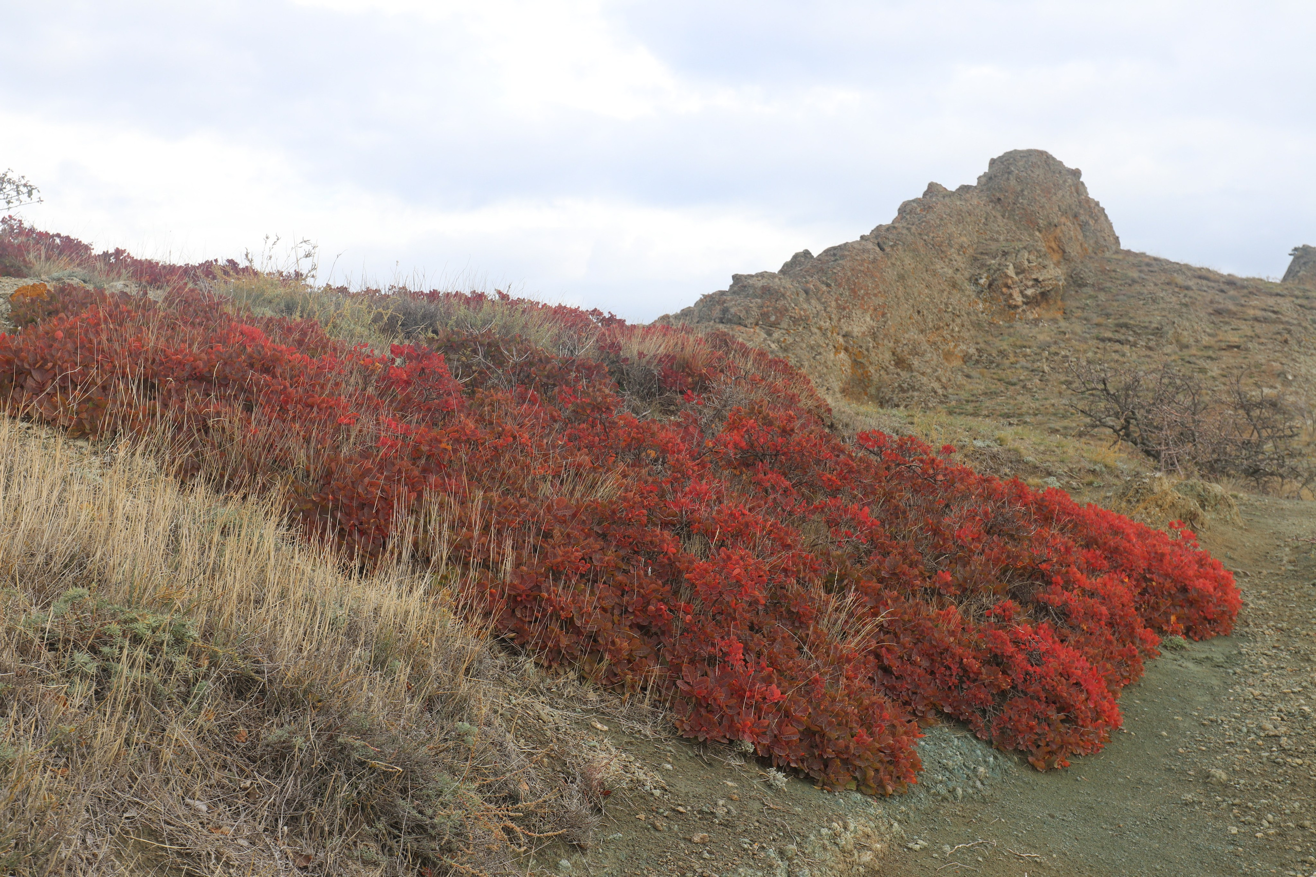 Крым. ЮБК (Судак, Карадаг). Ноябрь 2020. Путешественник-фотограф из Санкт-Петербурга Татьяна Свистулина