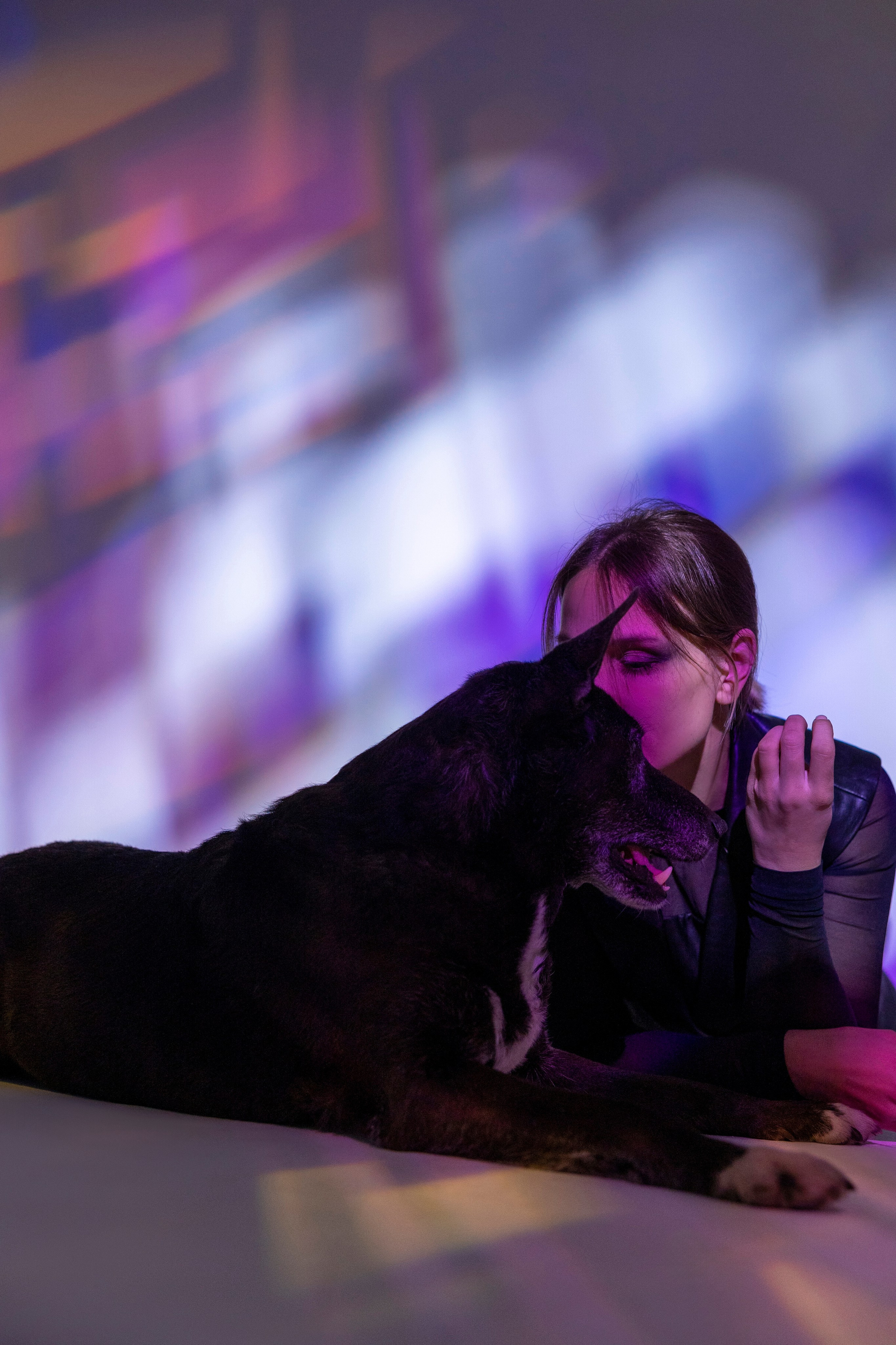 Съемка в студии с собакой. Анастасия Белаш