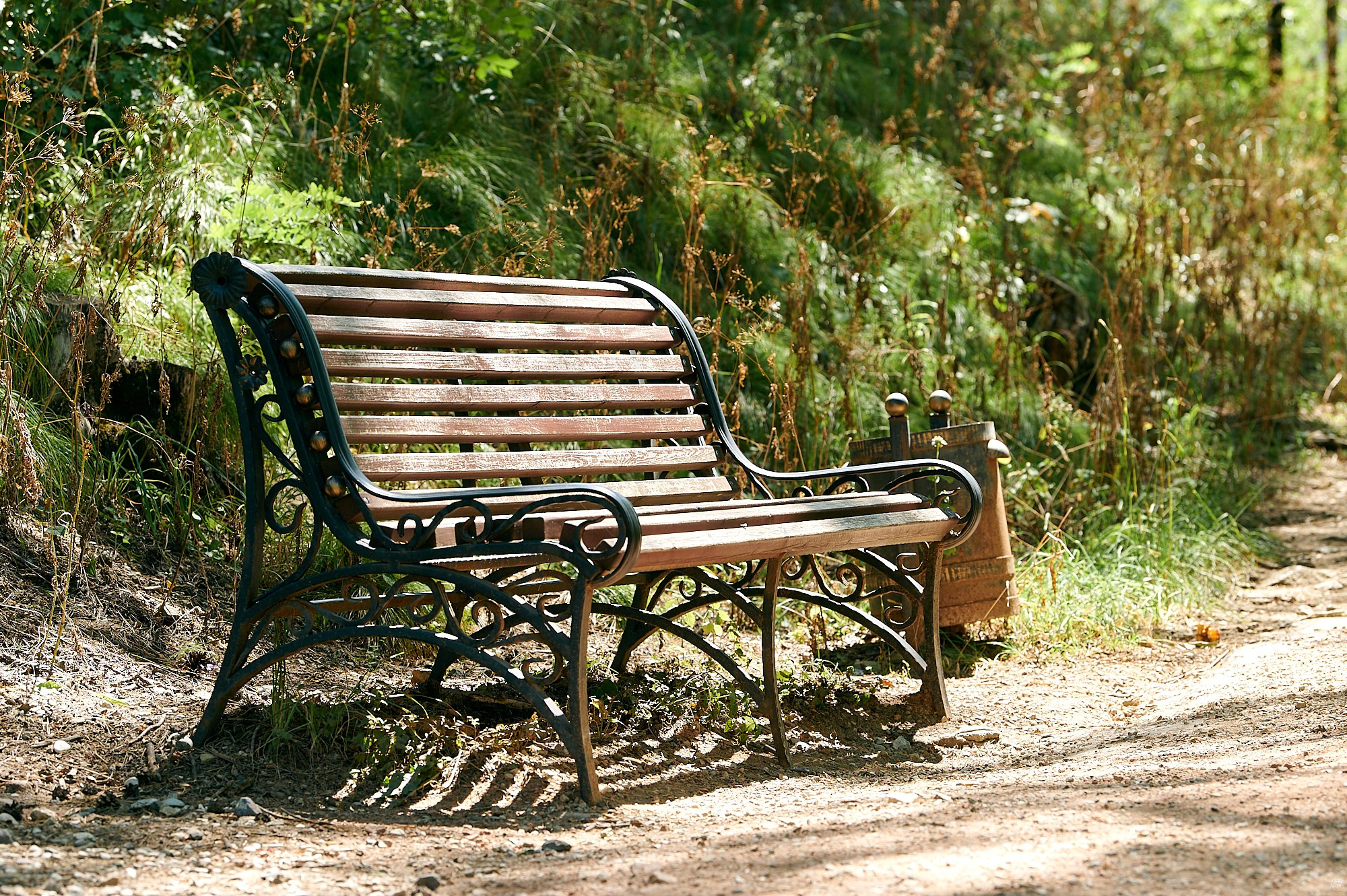Кисловодск, Россия. Август 2024. Фотографии отовсюду и обо всем
