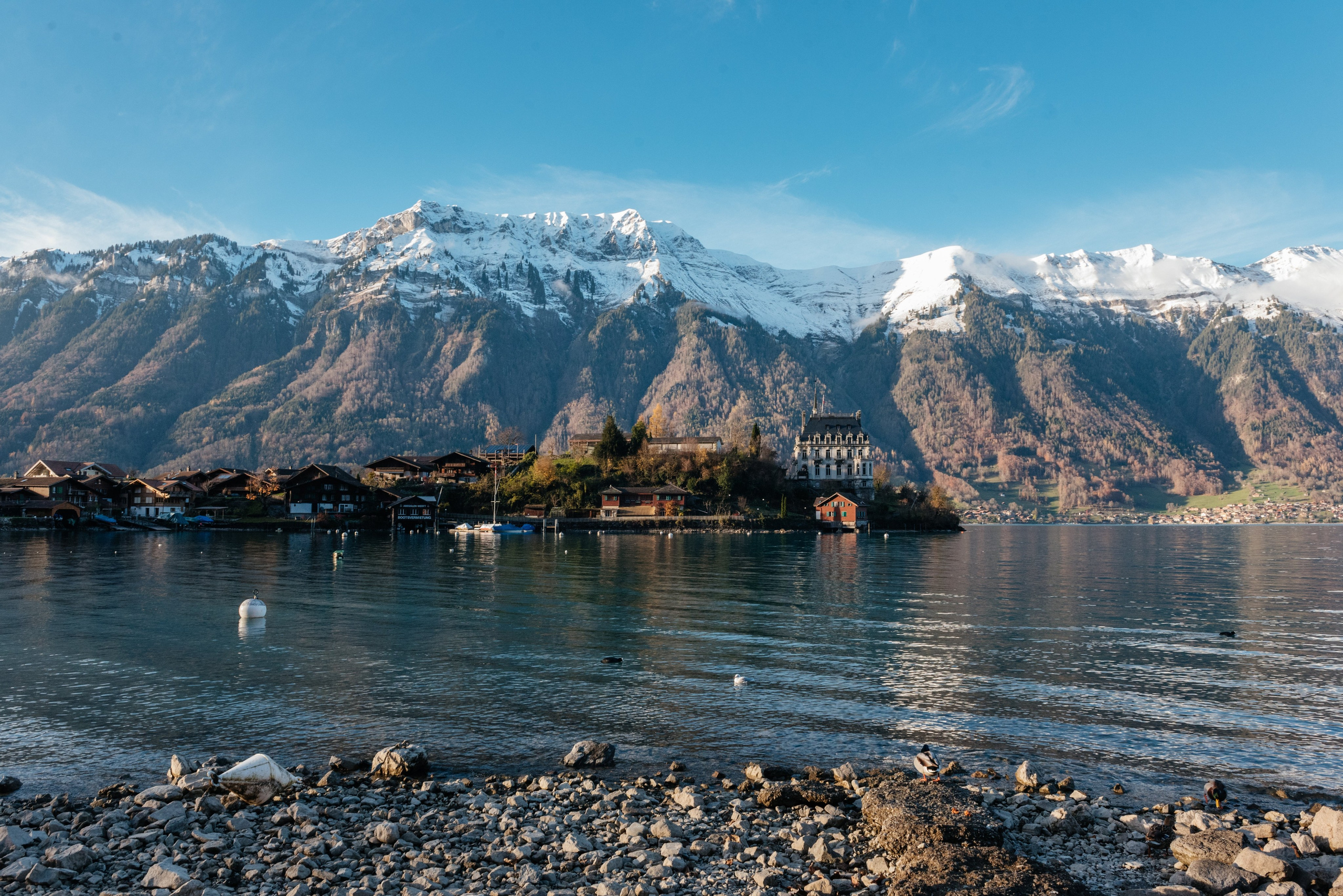 Evette & Karl (Iseltwald). Photographer in Interlaken area