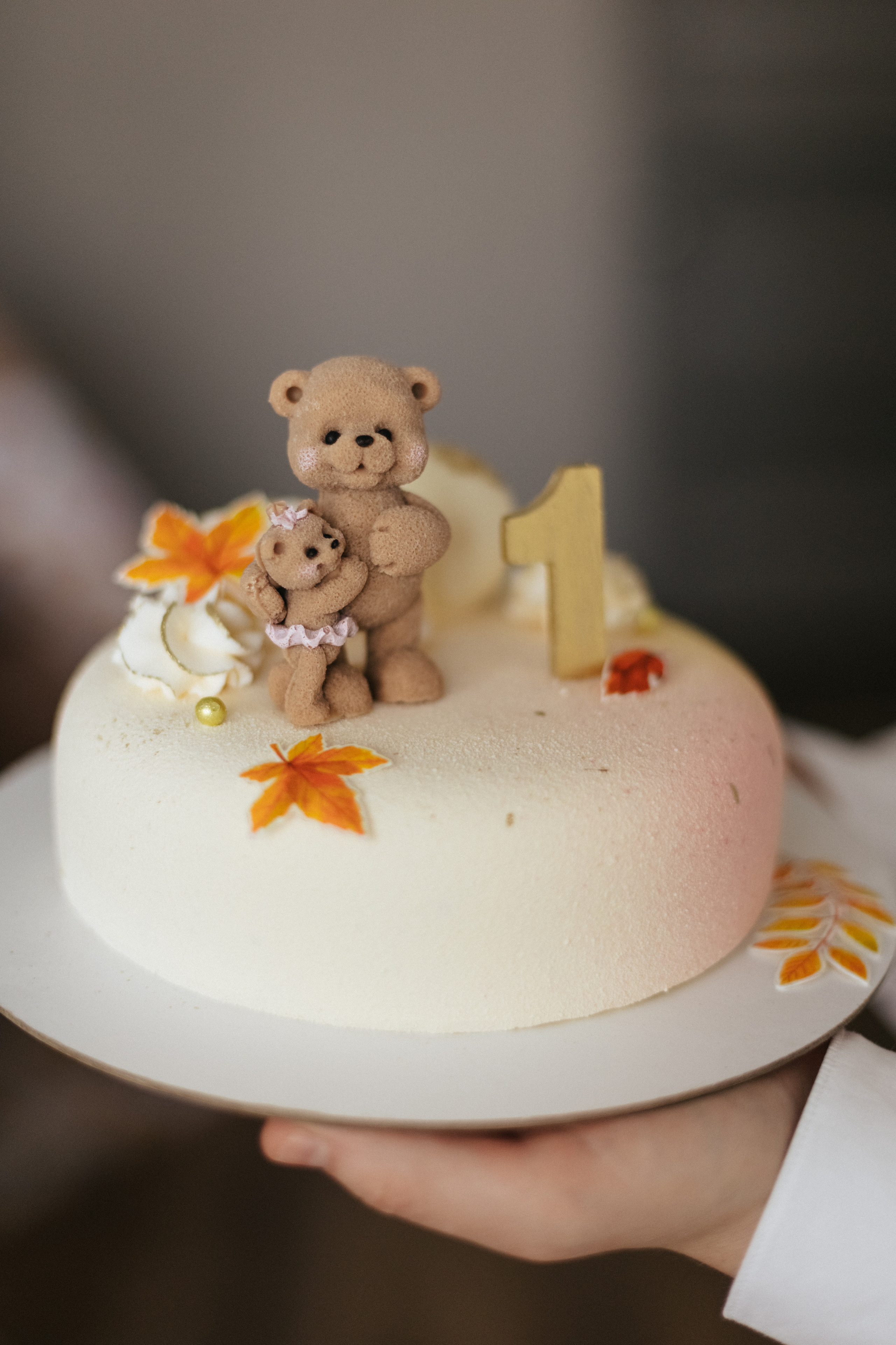 Мой первый годик. Фотограф Иваново Ольга Исакова