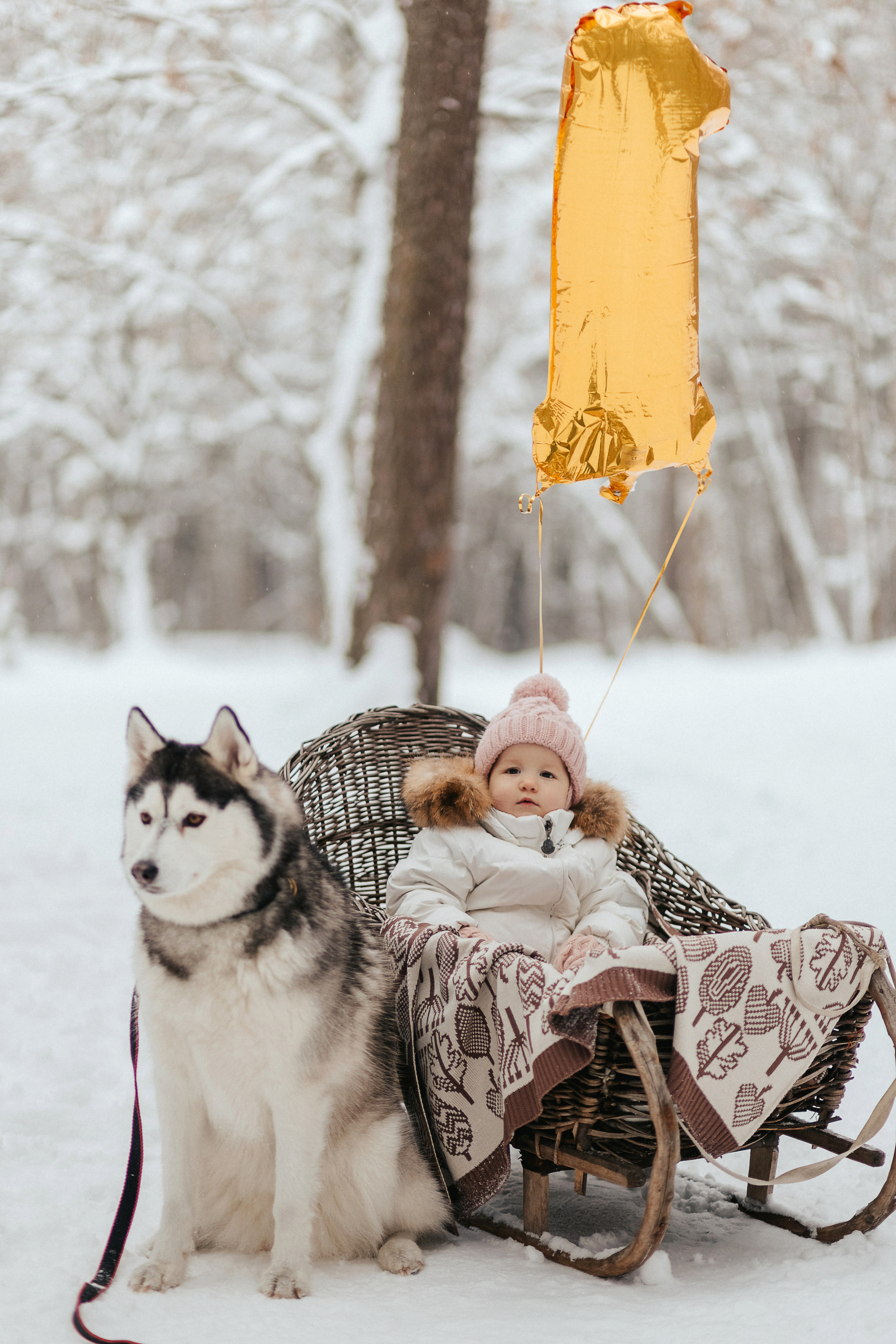 Зимняя прогулка. Фотограф Иваново Ольга Исакова