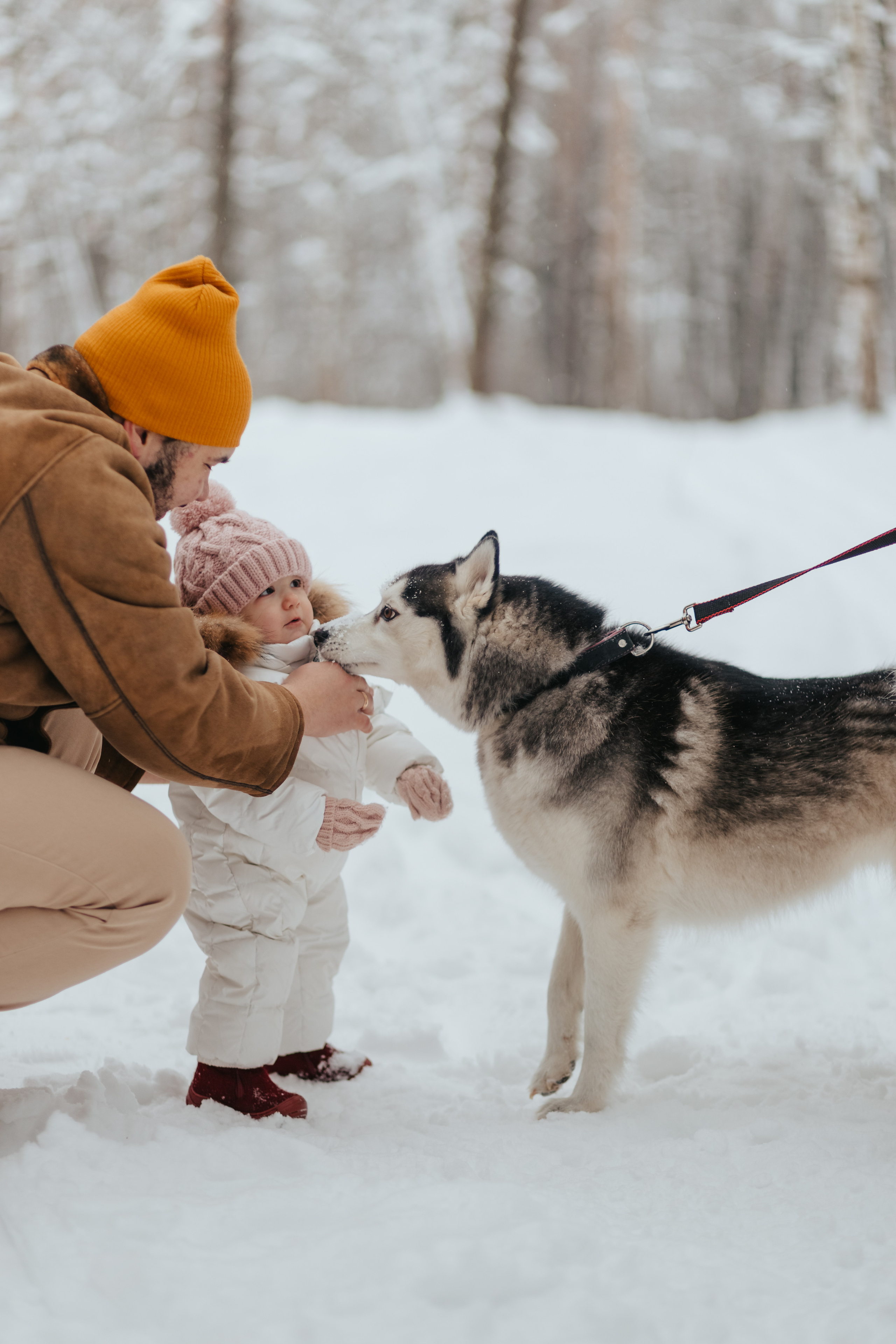 Зимняя прогулка. Фотограф Иваново Ольга Исакова