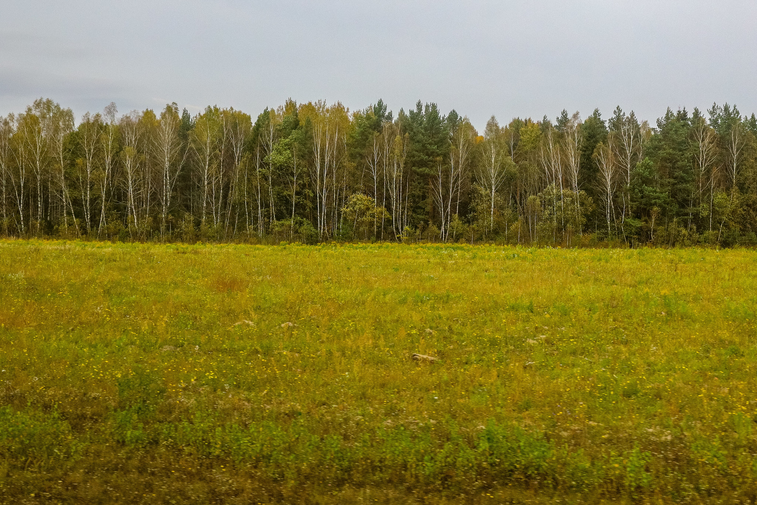Поездка в Белев и на производство пастилы. Фотограф в Туле Крупский АнДРей. Фотостудия «КАДР71» в Туле