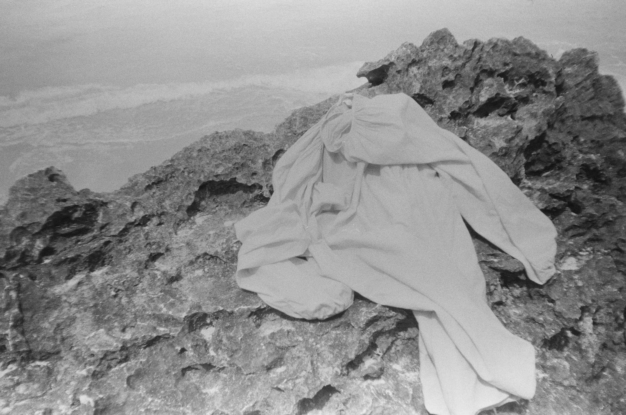 Виолетта Скрипка