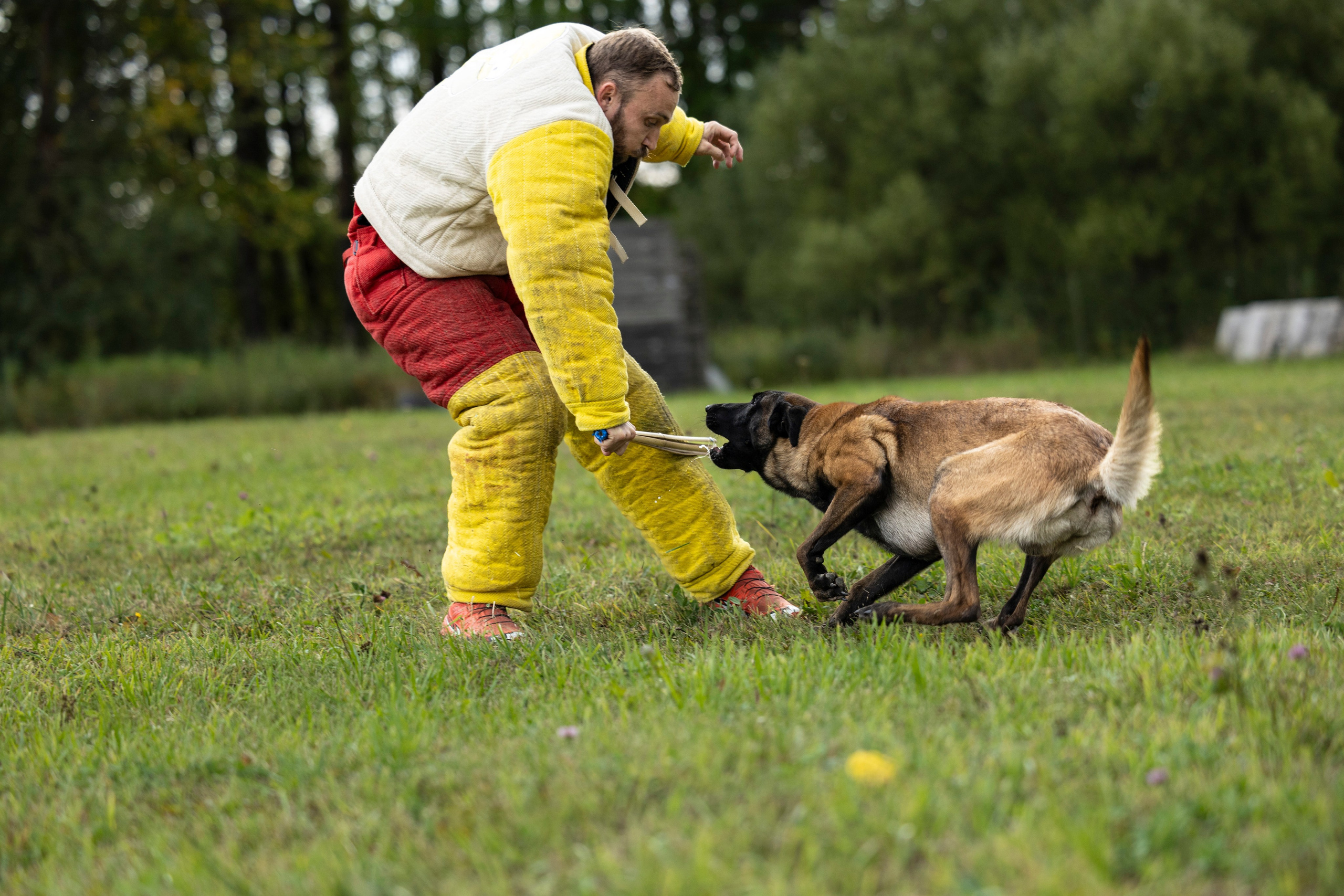 Испытания по Мондьорингу г. Пушкин. Фотограф-анималист Анна Маринич
