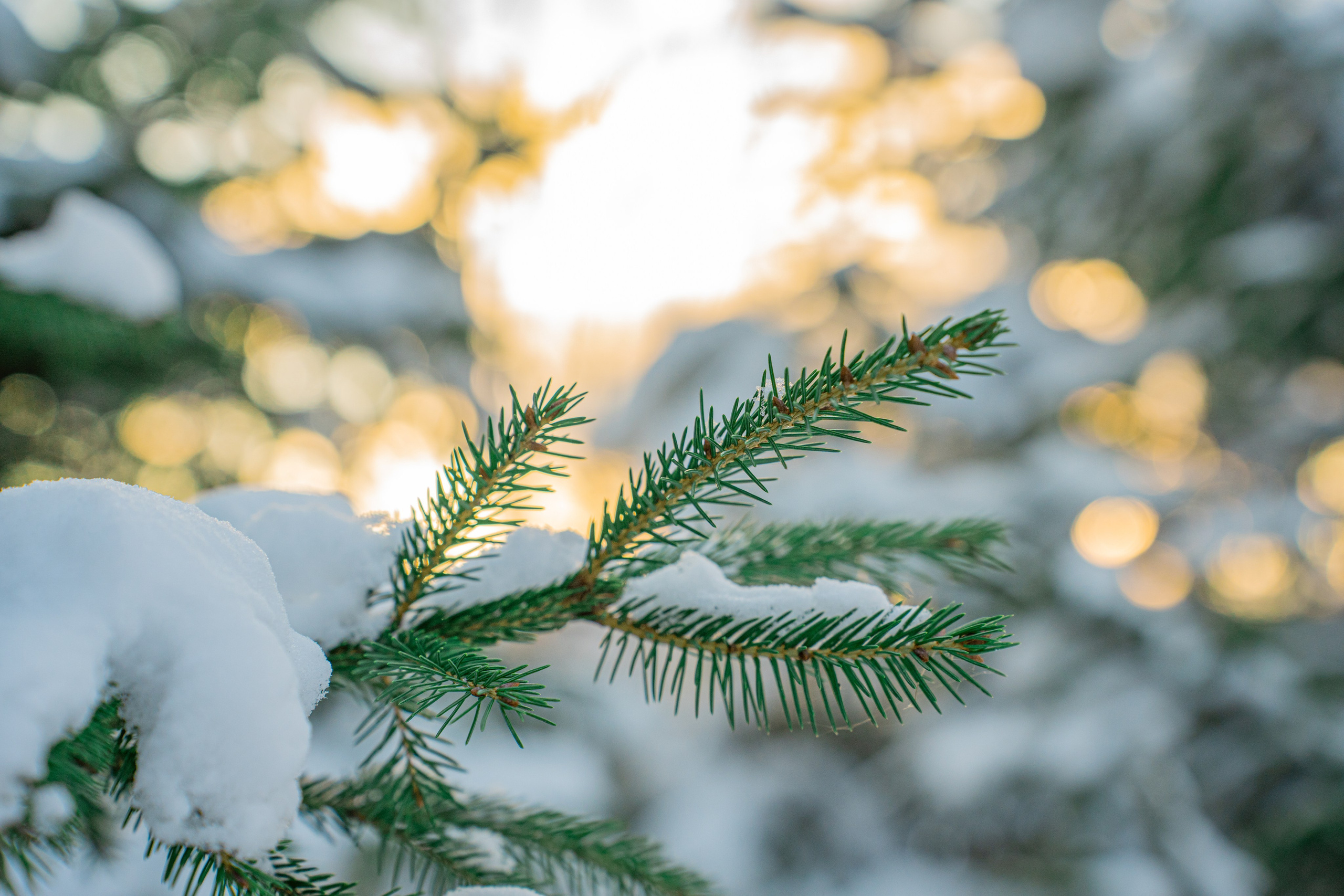 ATMOSPHERE. Фотограф Юрина Ксения Москва