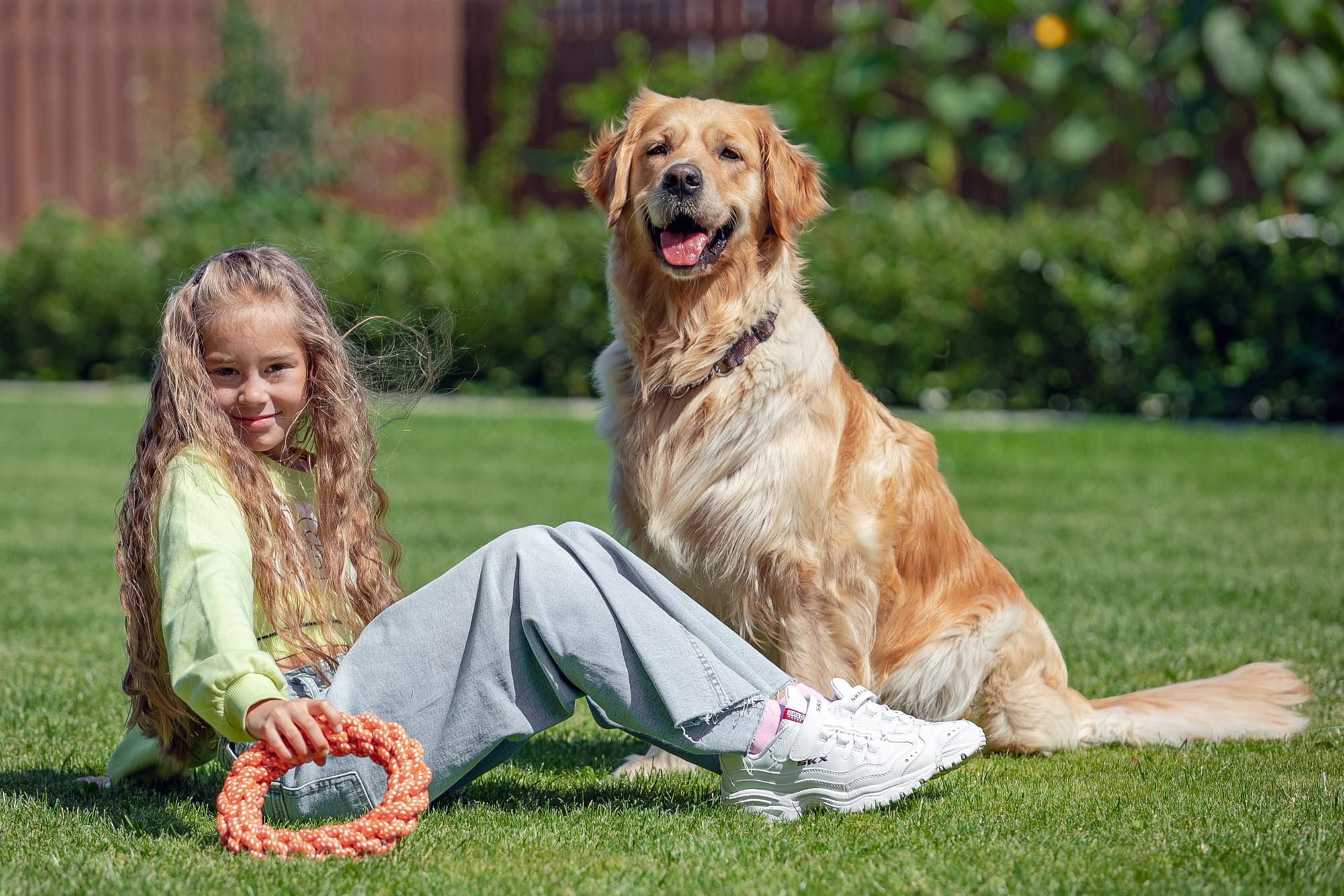 девочка с золотистым ретривиром на поляне