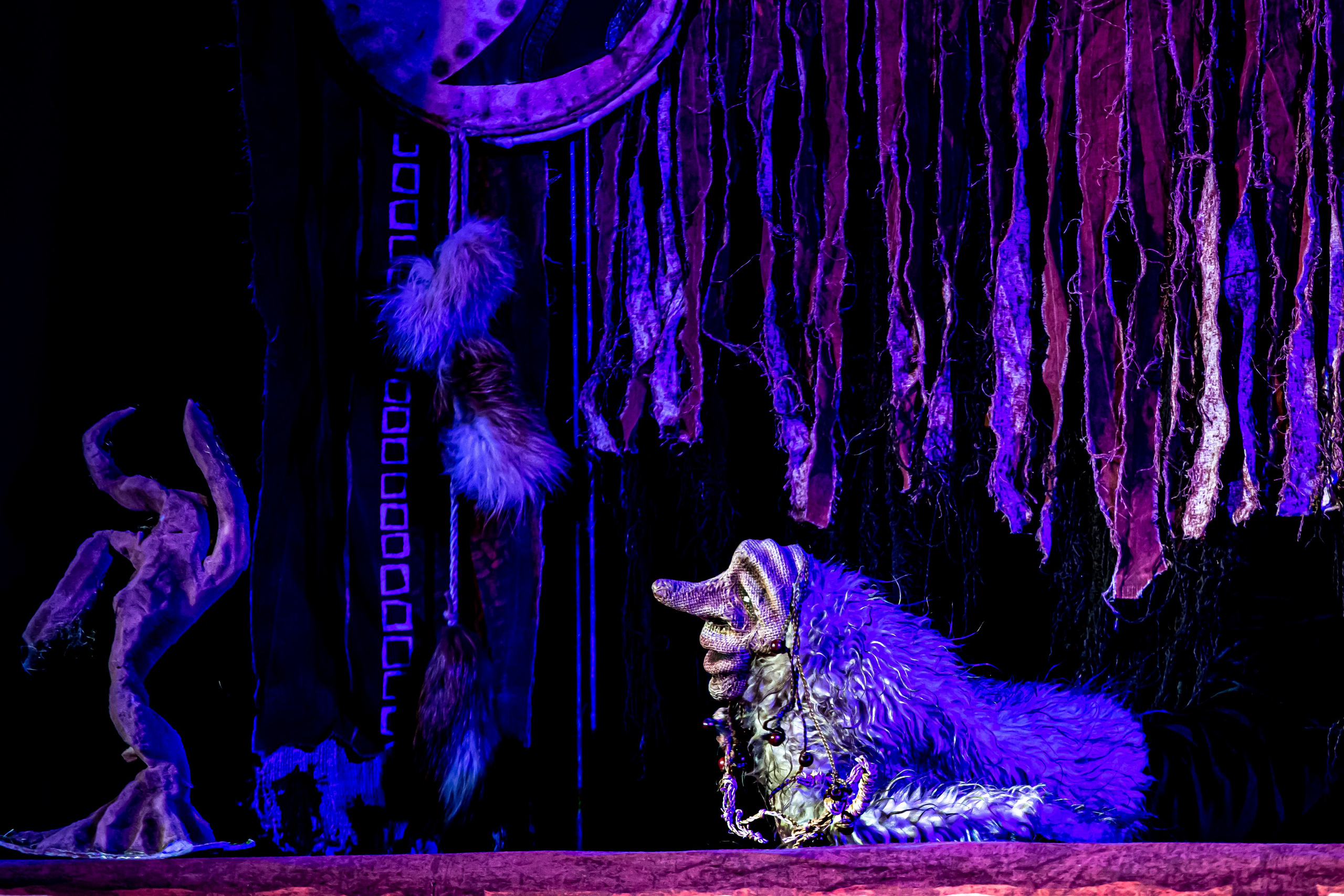 Легенды о Сочи Саквояж. Фотограф в Сочи Юрий Шептаев