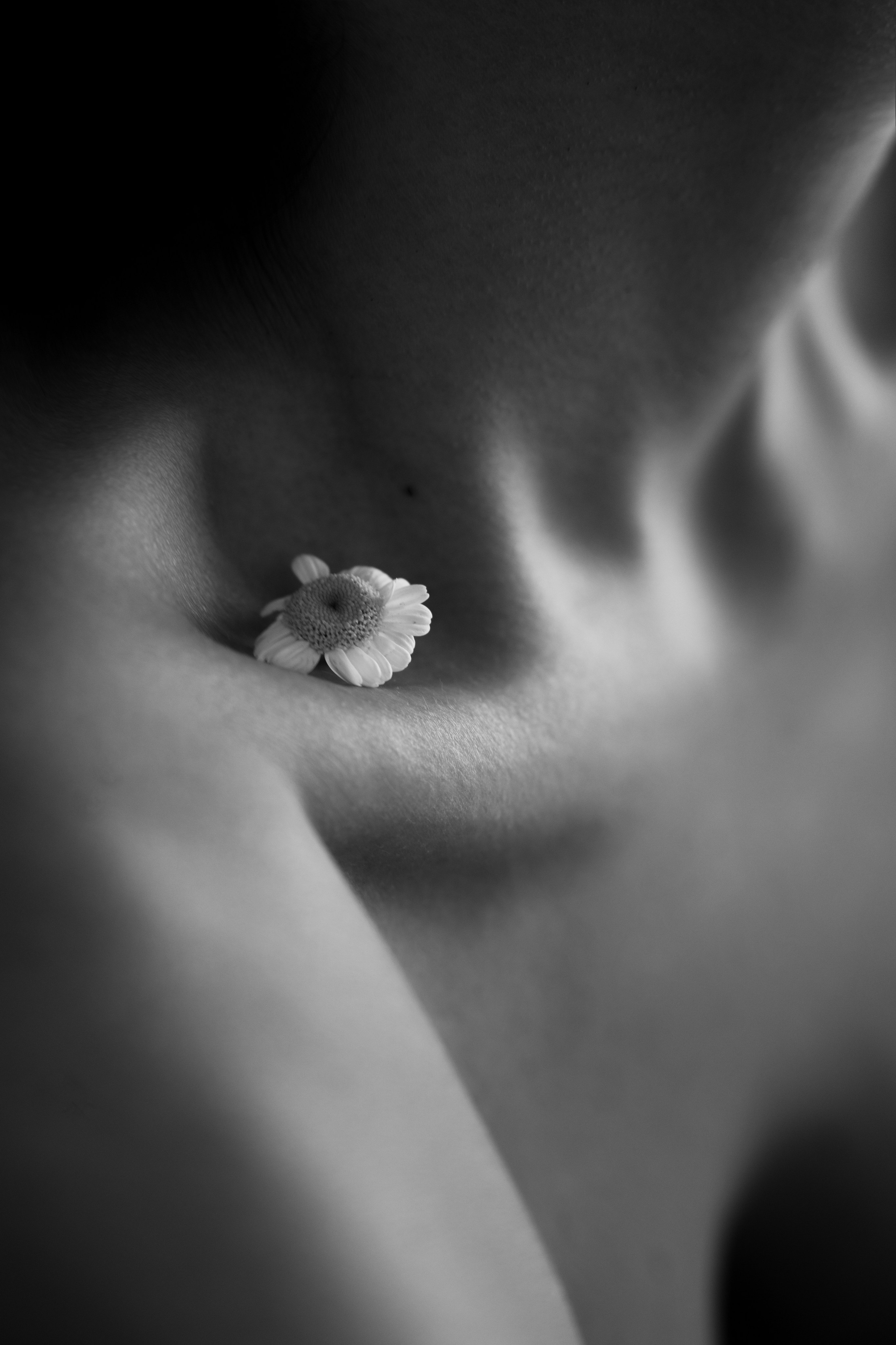 Курс — ПРОявись. Фотограф в городе Москва Меркулова Виктория