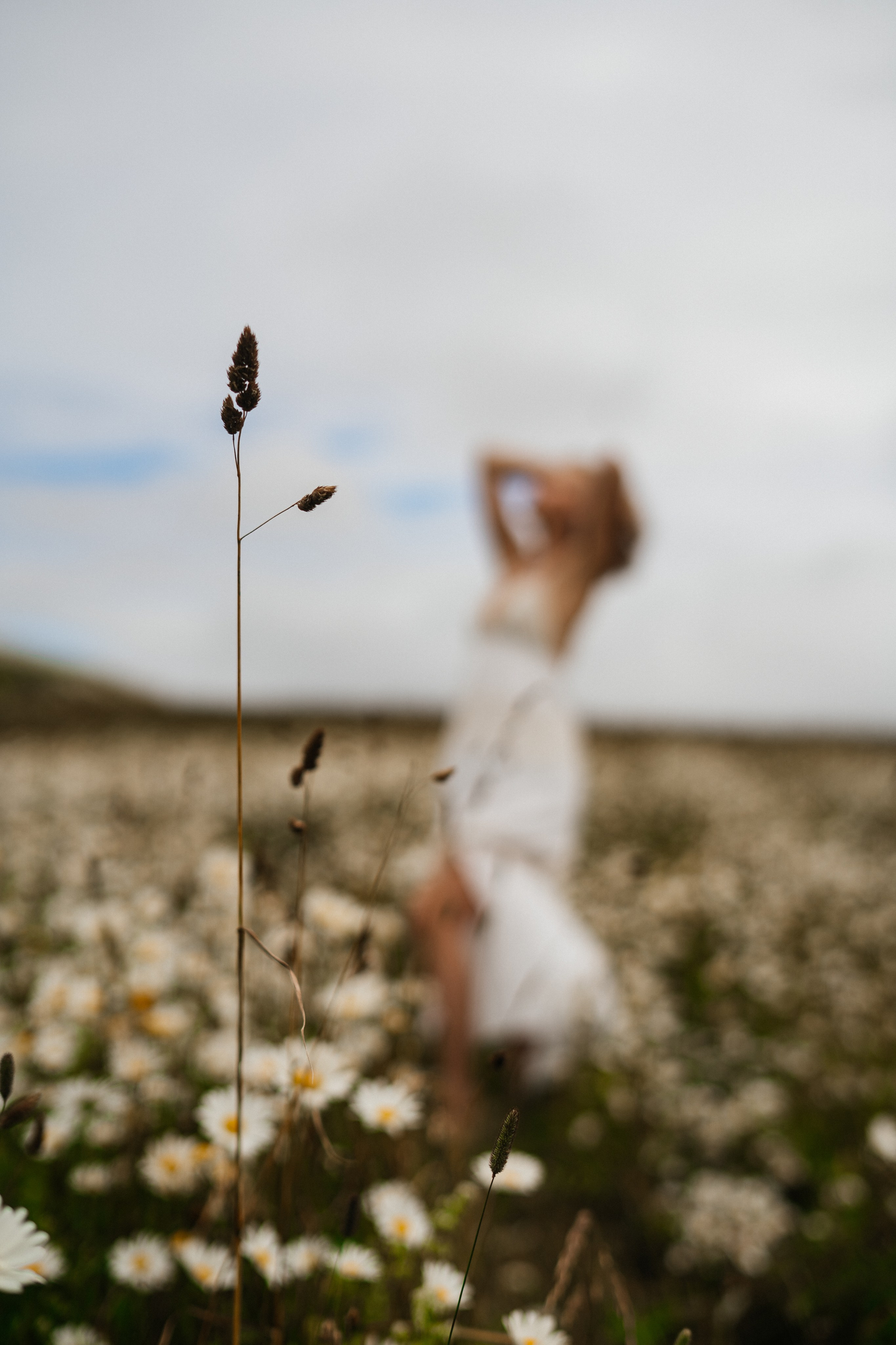 Самый красивый цветок. Фотограф сахалин