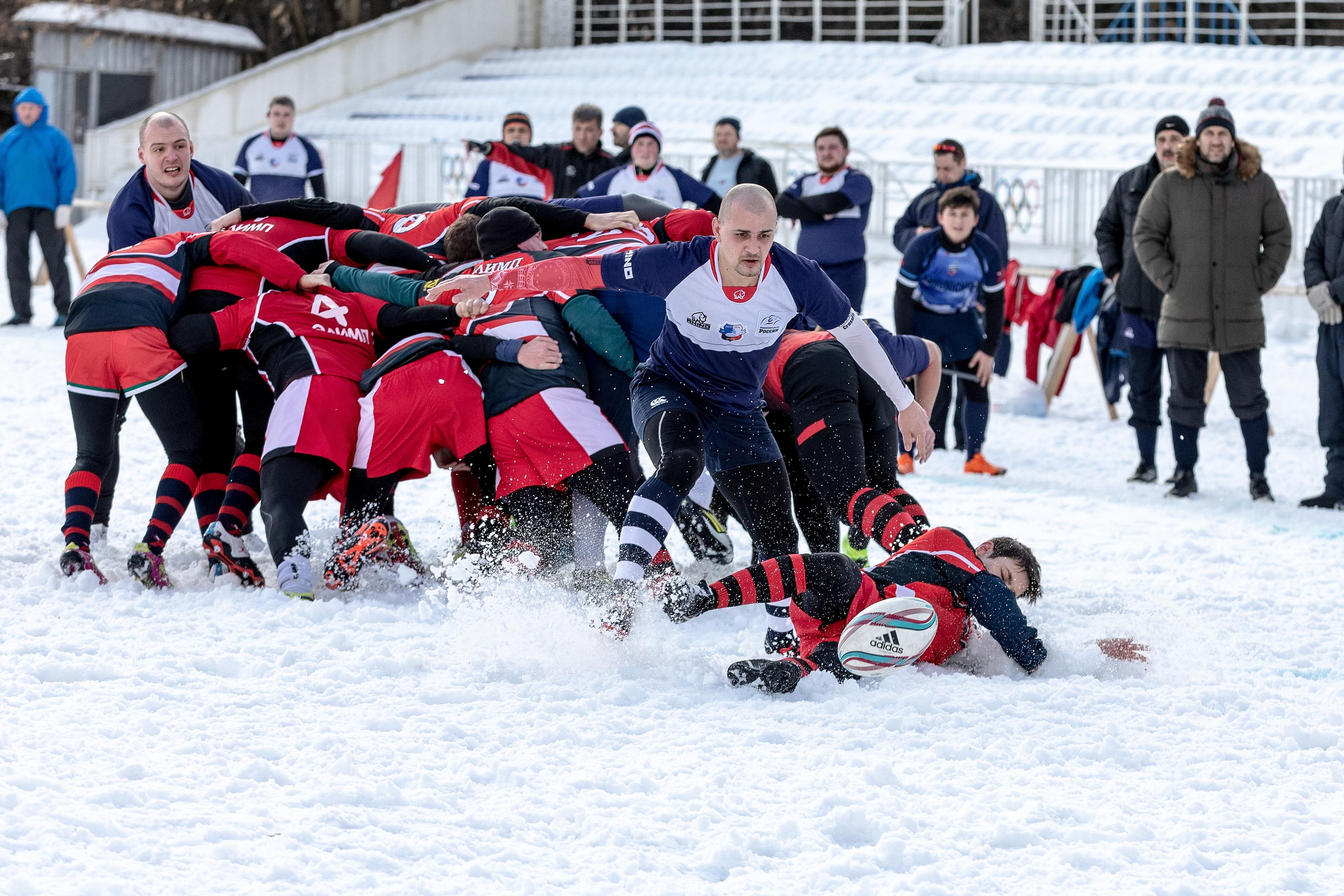 Фотосъемка регби. Фотограф Анна Зиновьева