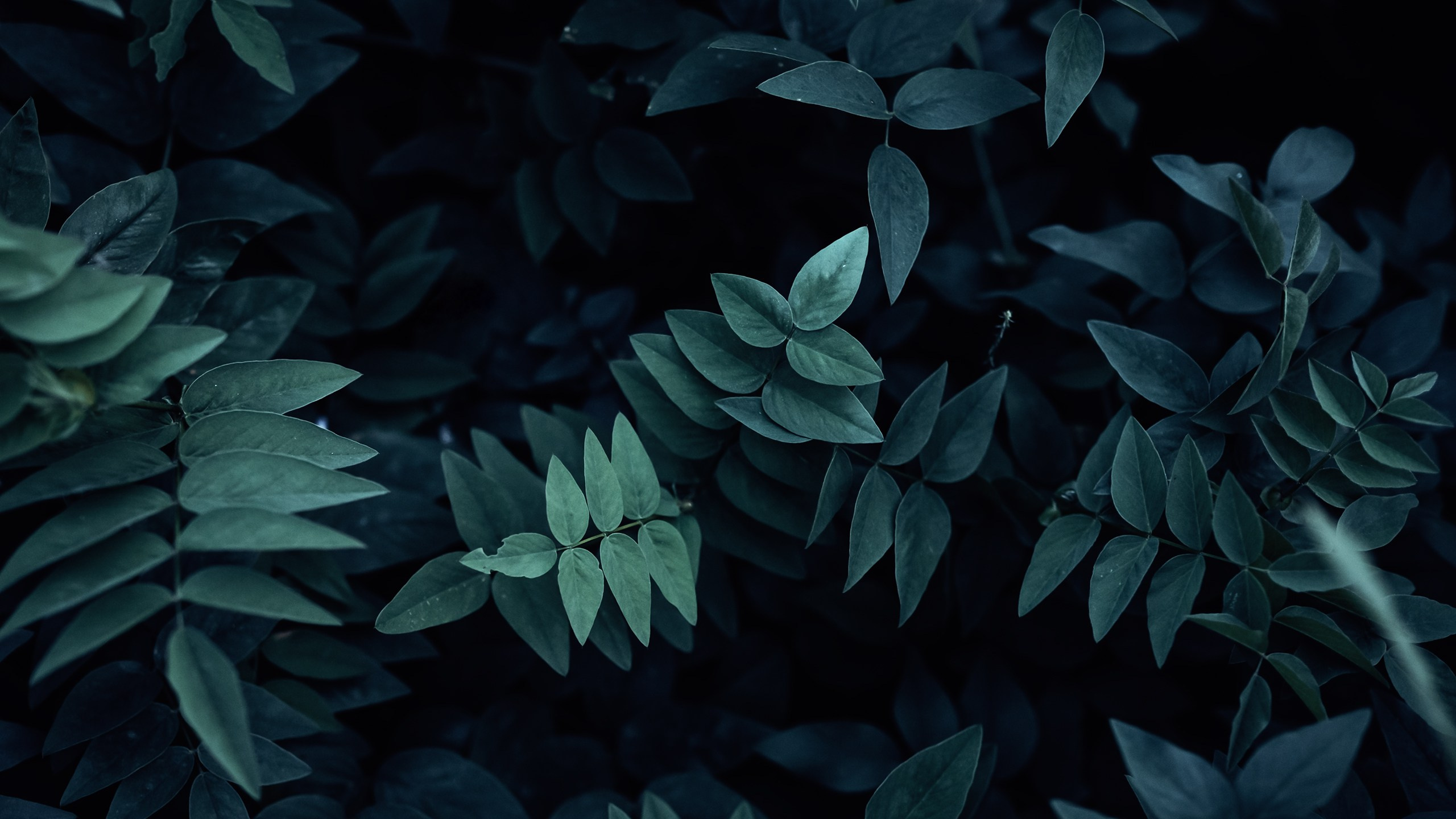 Невидимый спектр. Komonev