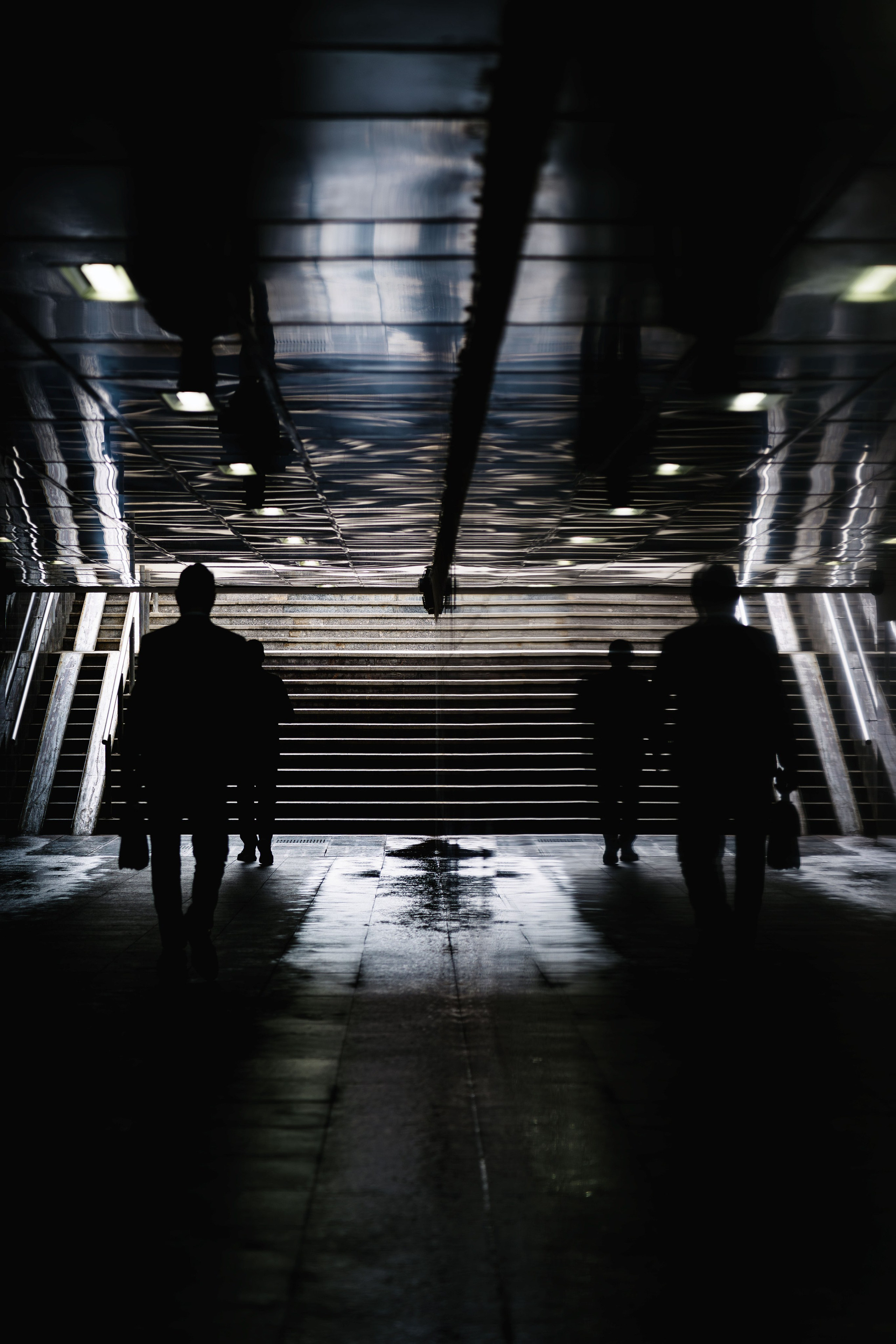 Жизнь в цветах. Алексей Гаас — фотограф