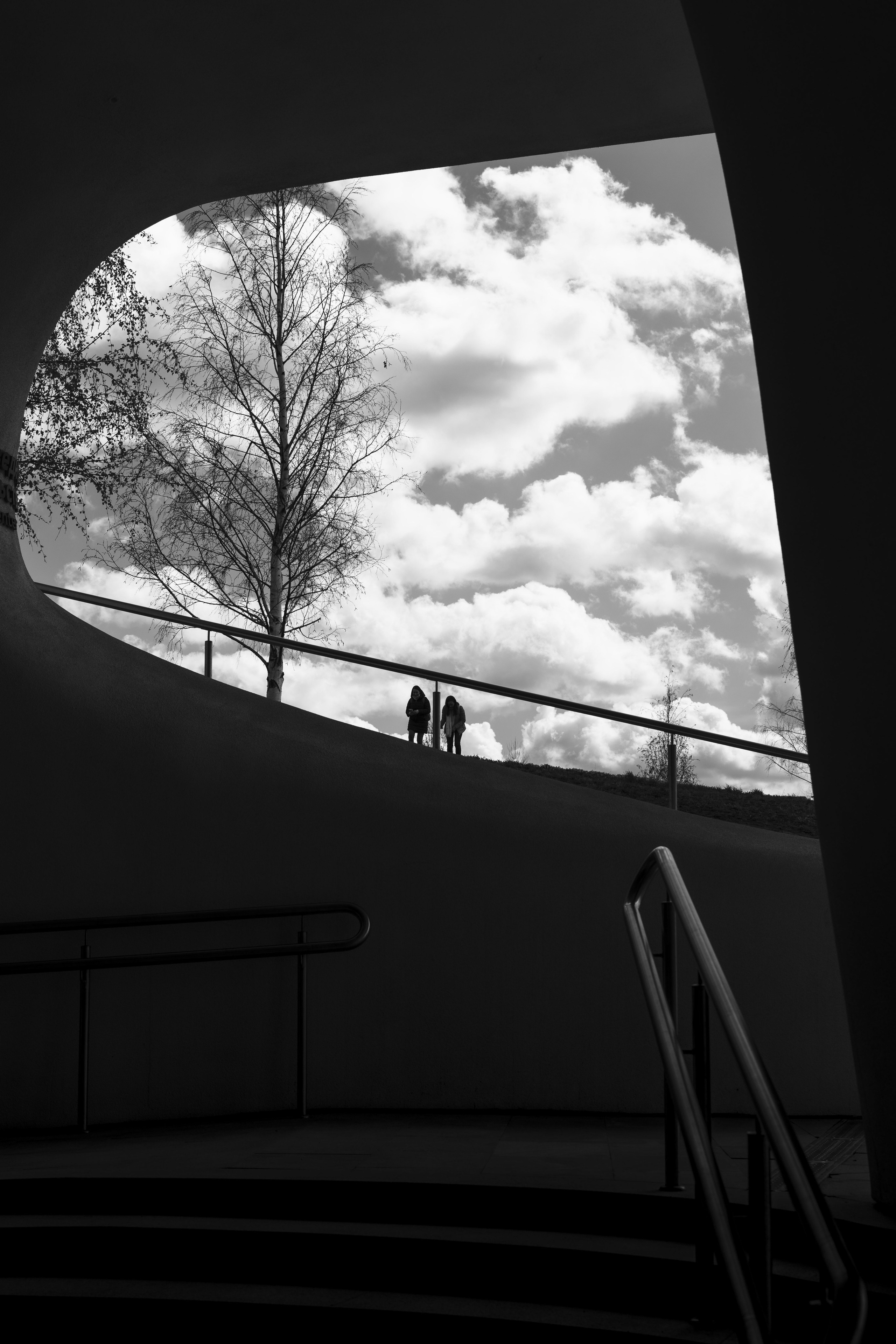 Ч/Б. Алексей Гаас — фотограф