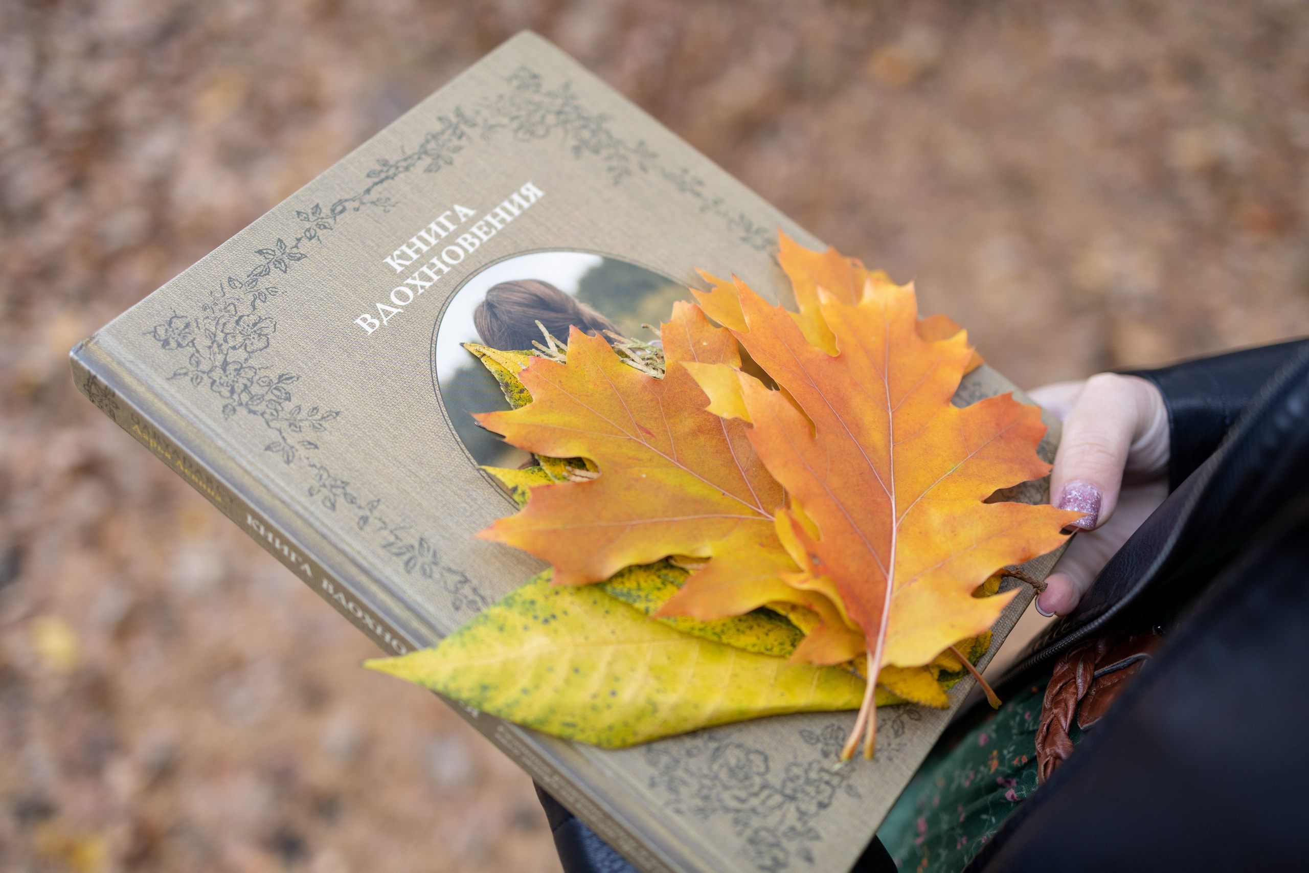 Теплая осень. Фотограф в Городце Розова Елена