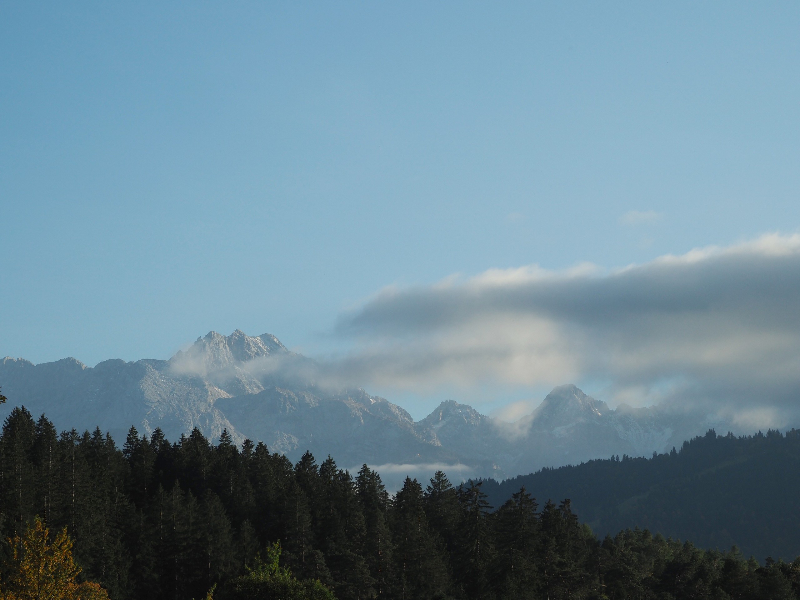 Природа. Семейный фотограф в Красноярске Лизоркина Вера