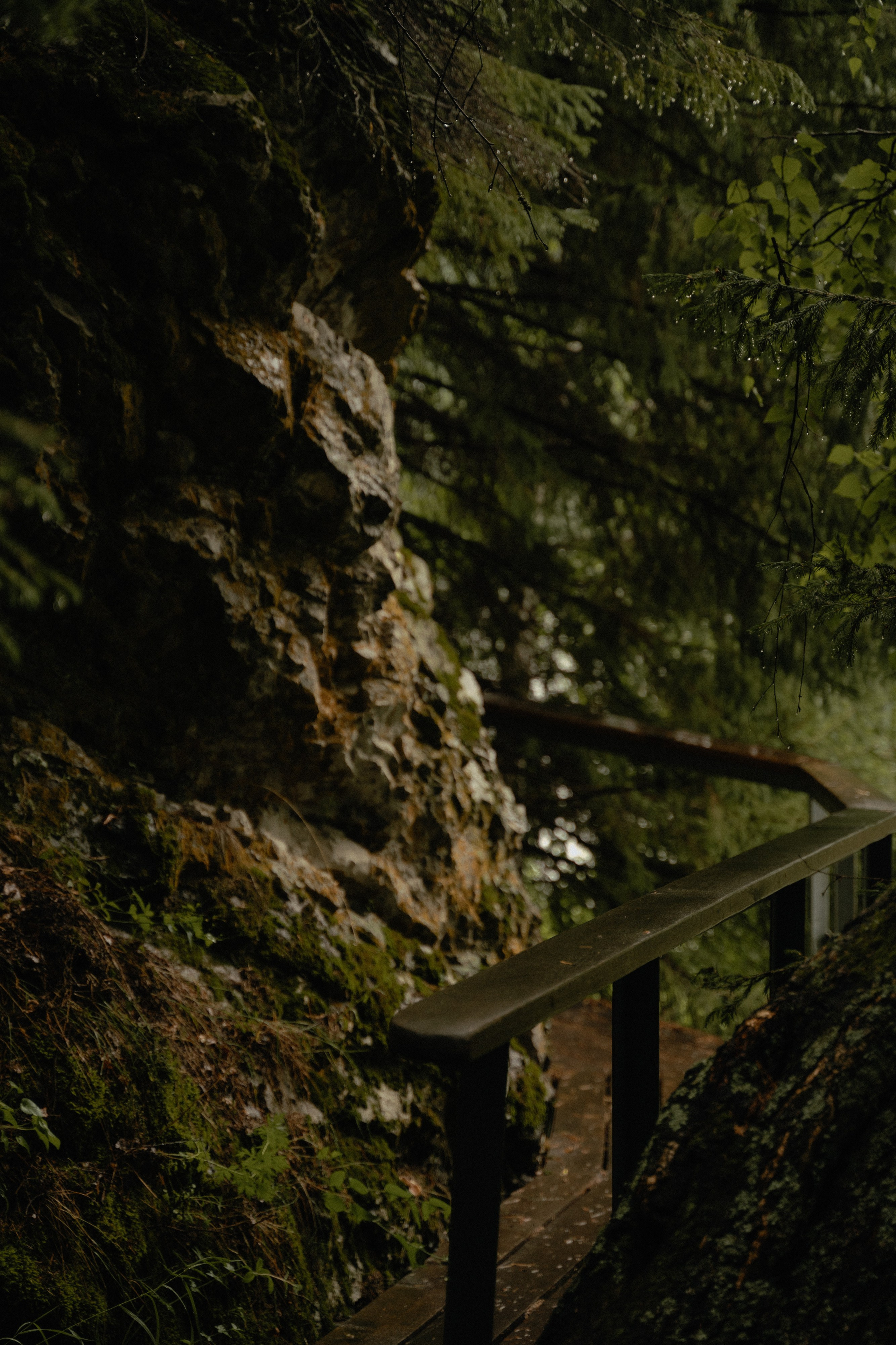 Женя и Лариса. Фотограф Алматы