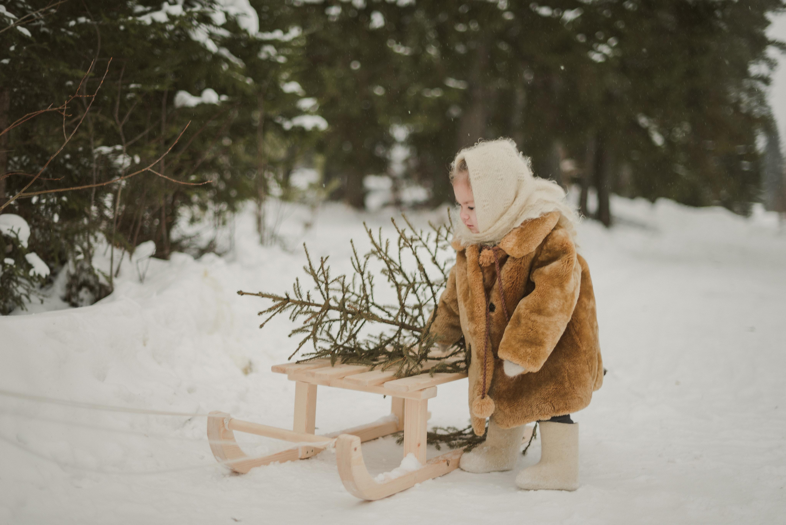 Отзывы. Фотограф Мария Орлова (Мирный, Плесецк, Каргополь)