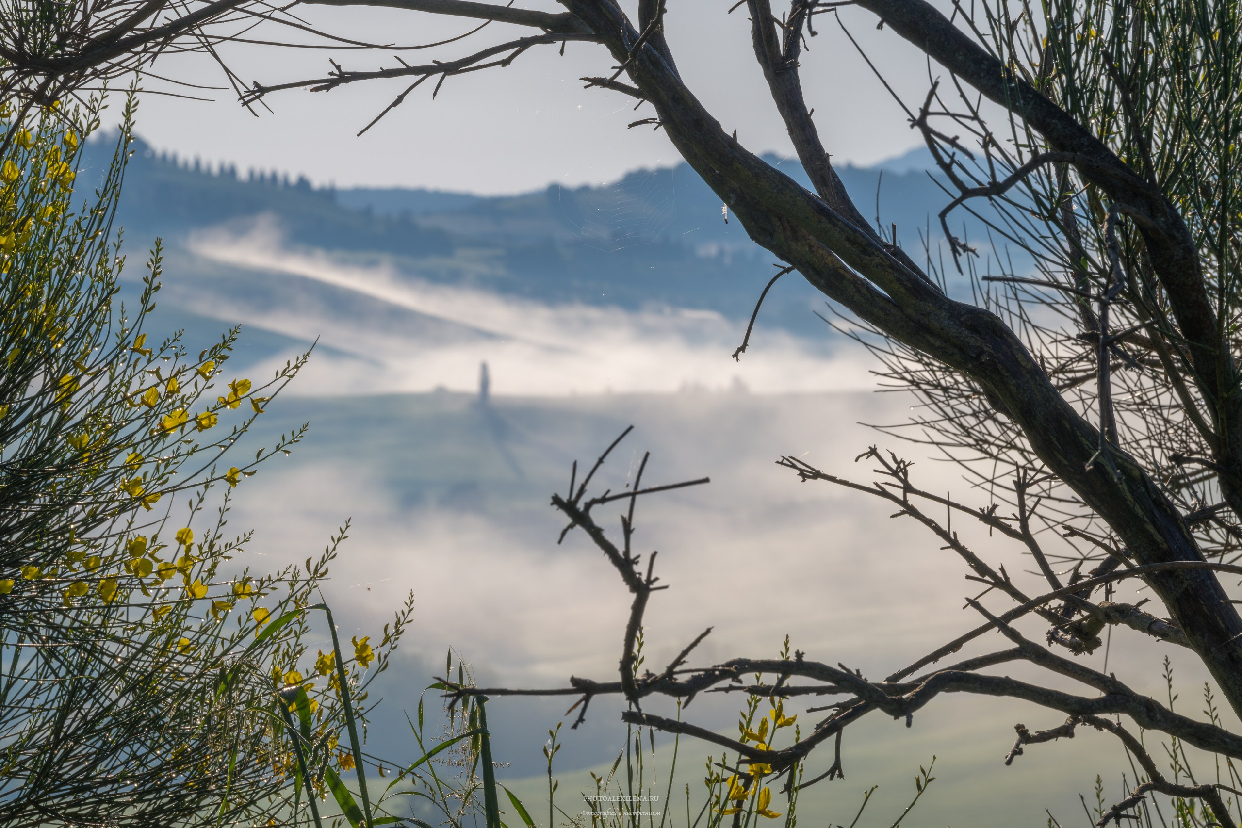 Волшебное утро в Тоскане. Авторские стильные фотокартины