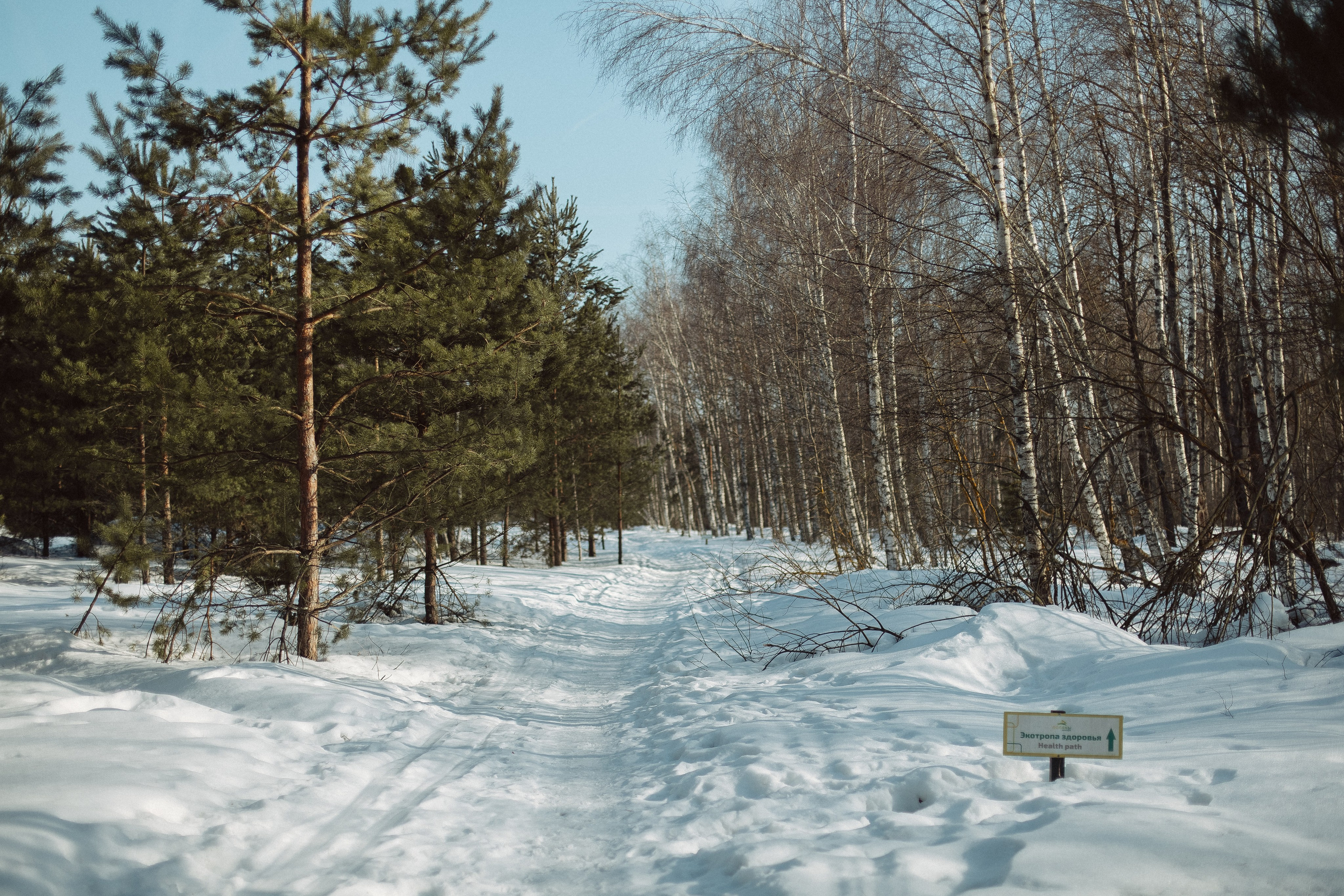 Экопарк ПОЛЯНЫ. Главная